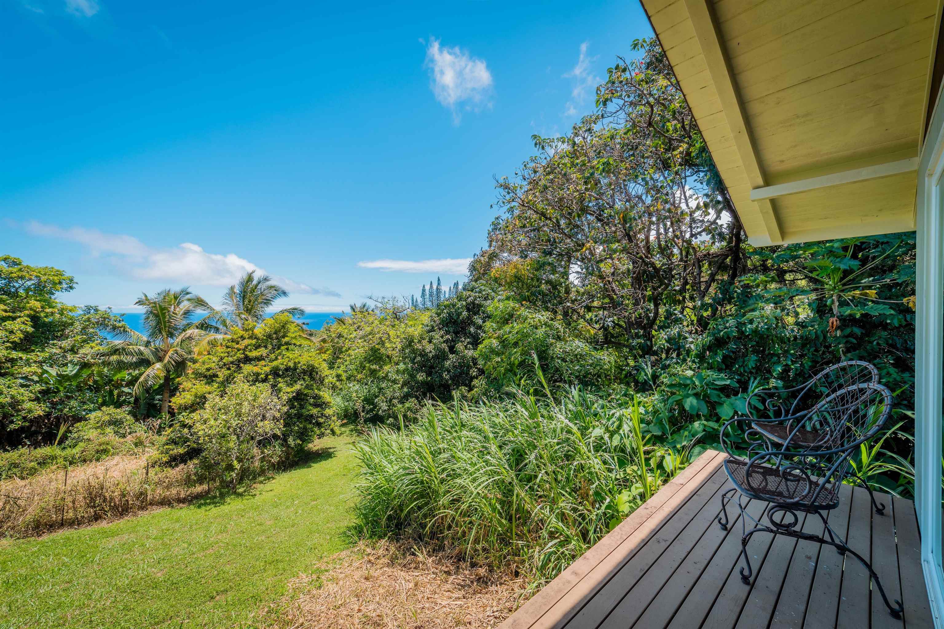 41049  Hana Hwy Kipahulu, Hana home - photo 33 of 38