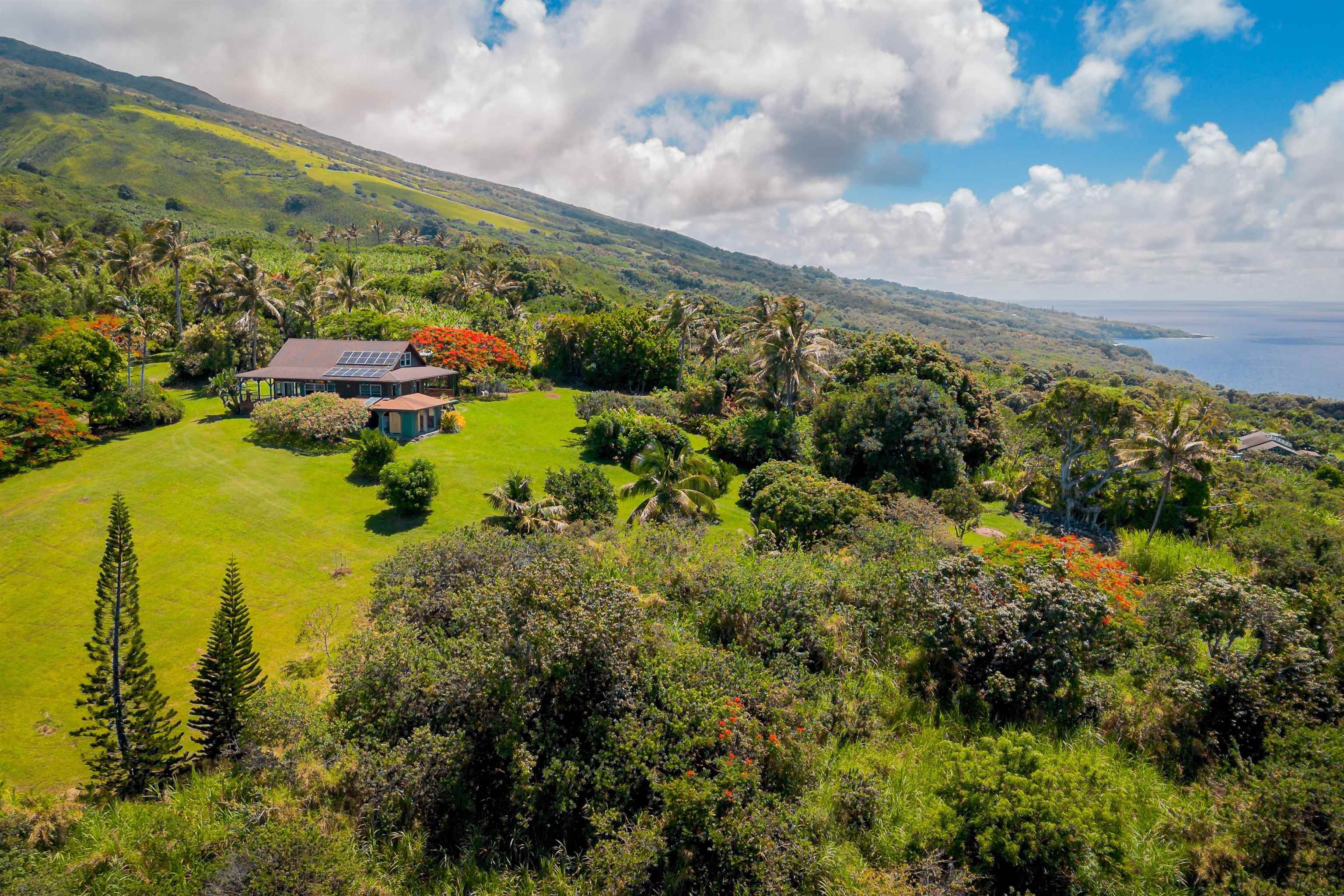 41049  Hana Hwy Kipahulu, Hana home - photo 36 of 38