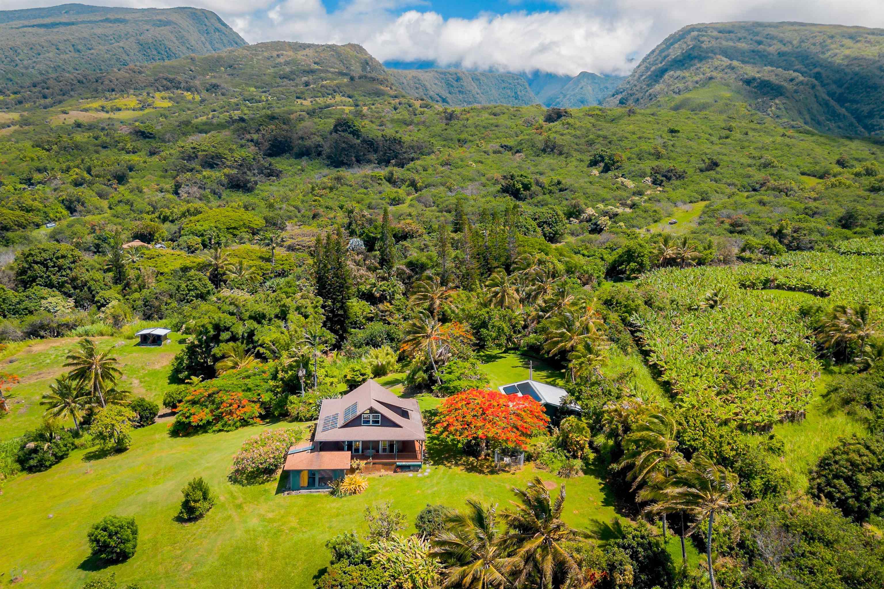 41049  Hana Hwy Kipahulu, Hana home - photo 6 of 38