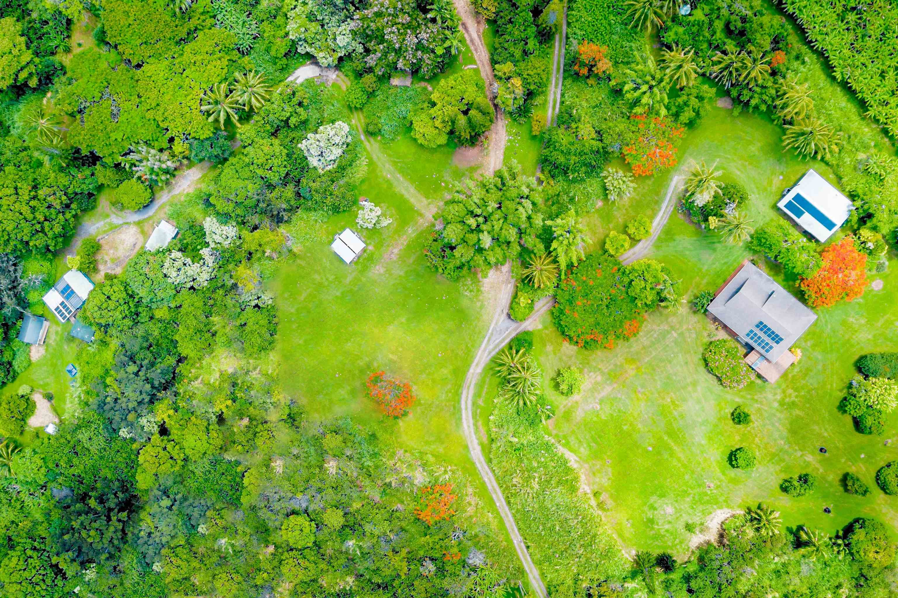 41049  Hana Hwy Kipahulu, Hana home - photo 8 of 38