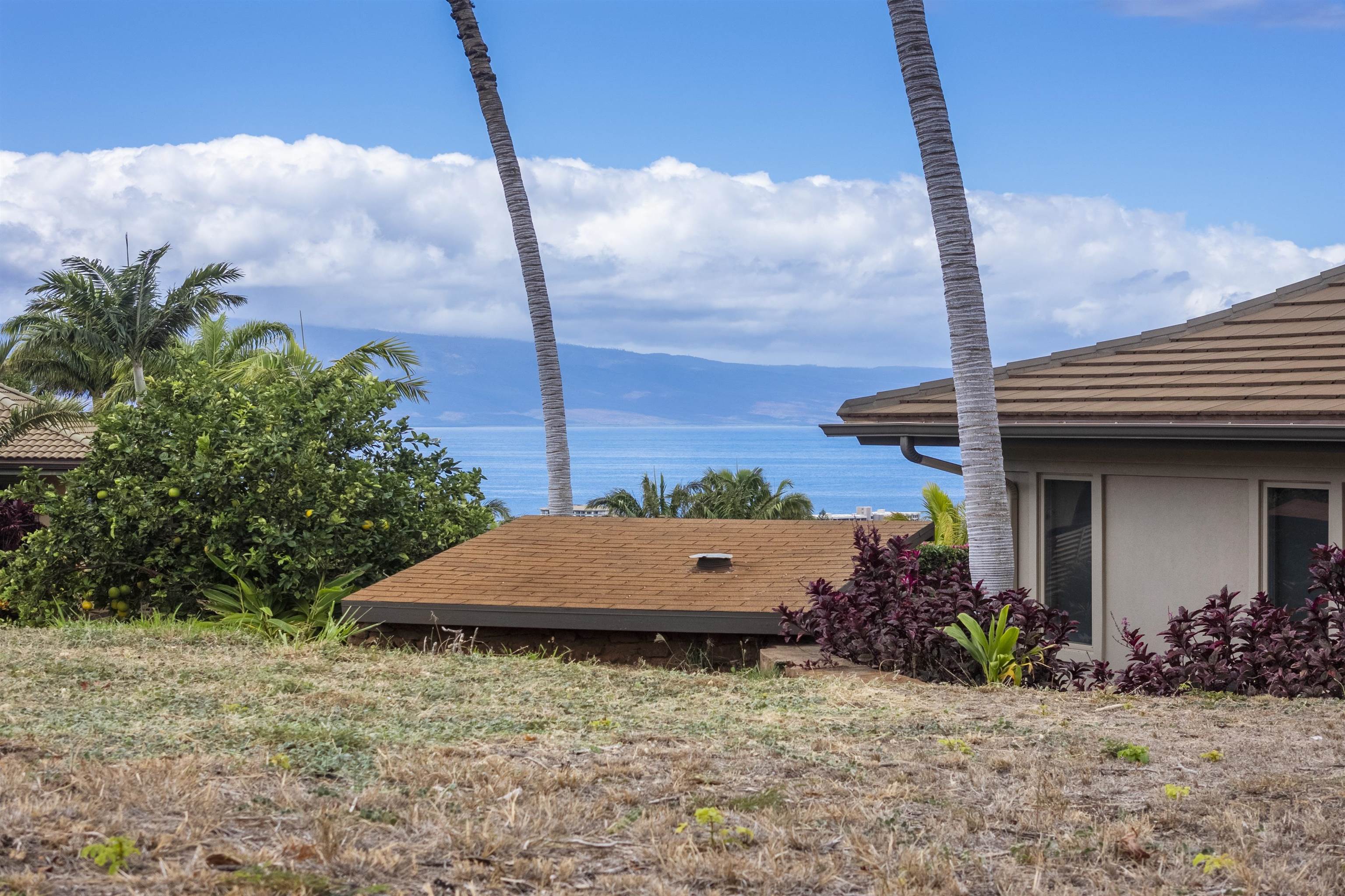 411 Wekiu Pl  Lahaina, Hi vacant land for sale - photo 14 of 29