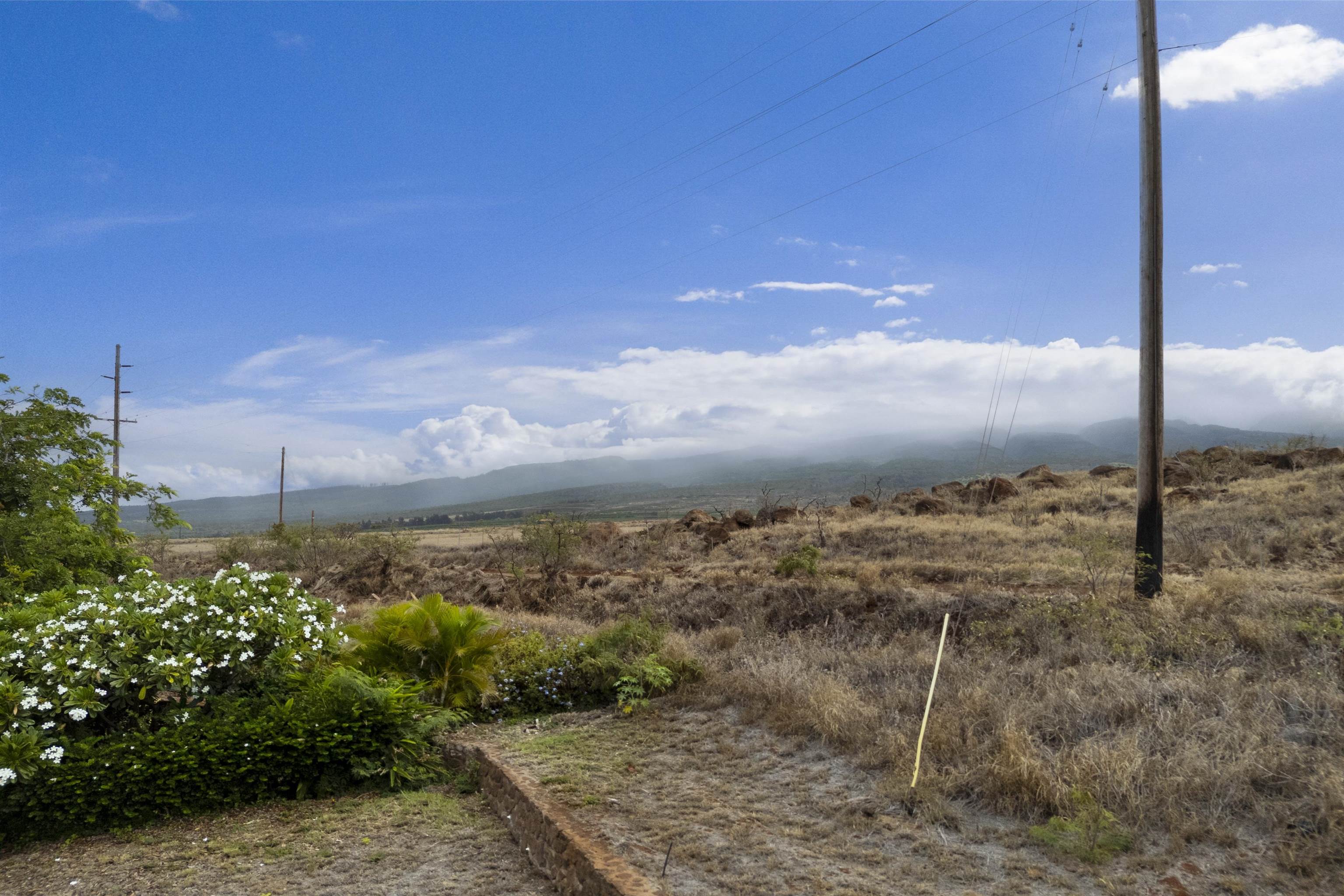 411 Wekiu Pl  Lahaina, Hi vacant land for sale - photo 17 of 29