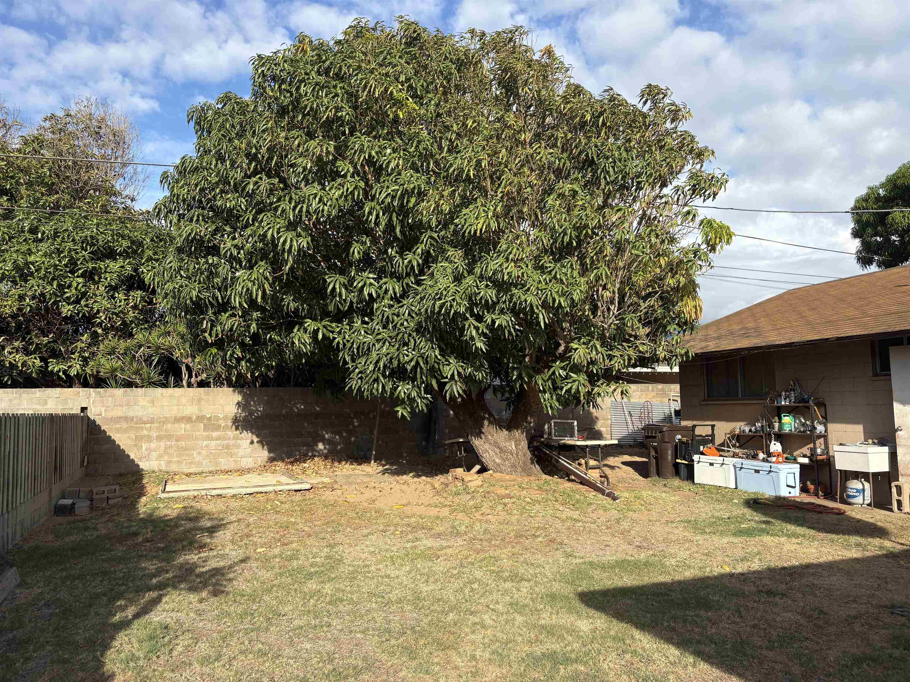 412  Puunene Ave 1st Increment Kahului, Kahului home - photo 17 of 18