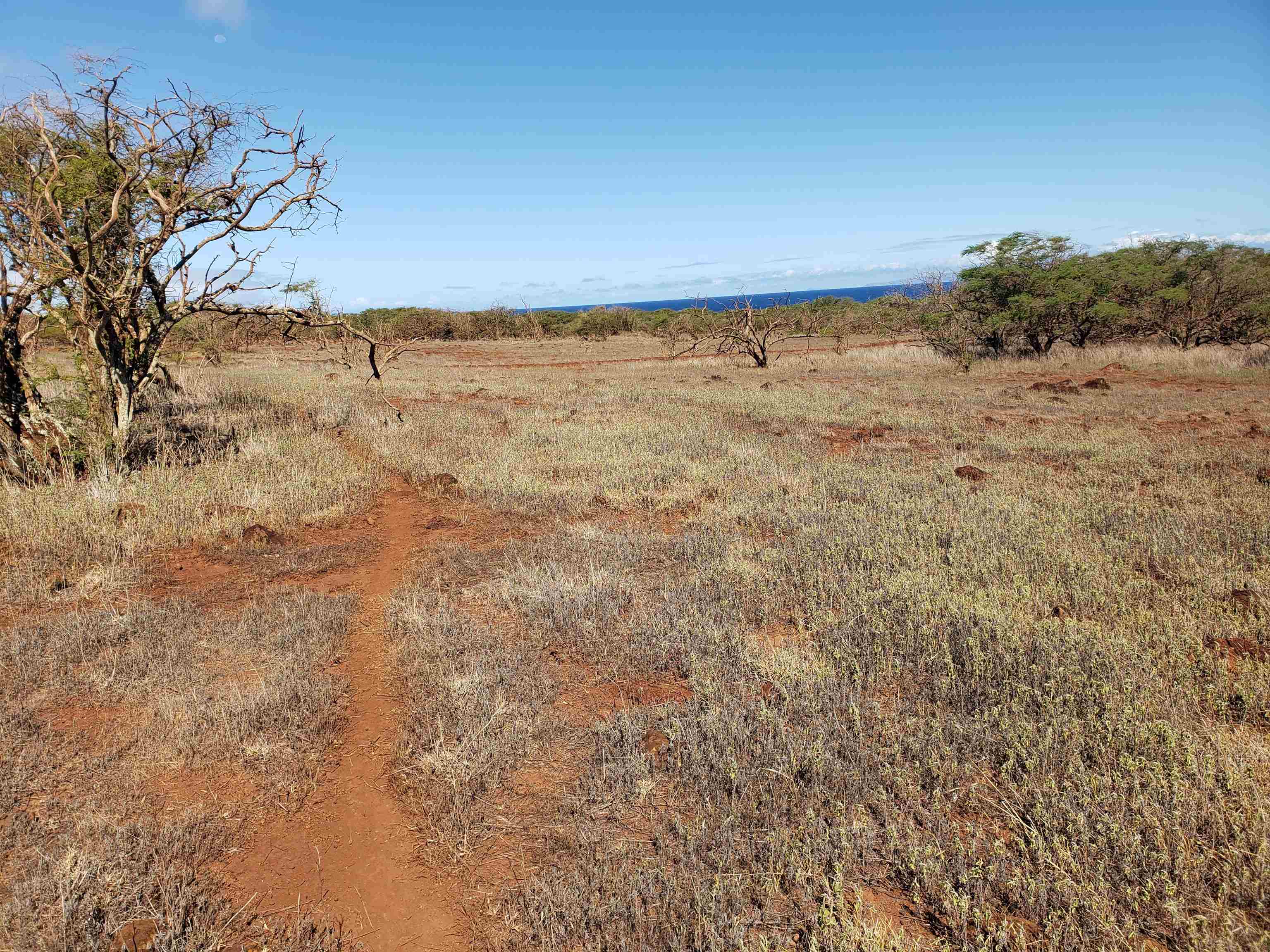 4131 Pohakuloa Rd Lot # 189 Maunaloa, Hi vacant land for sale - photo 2 of 15