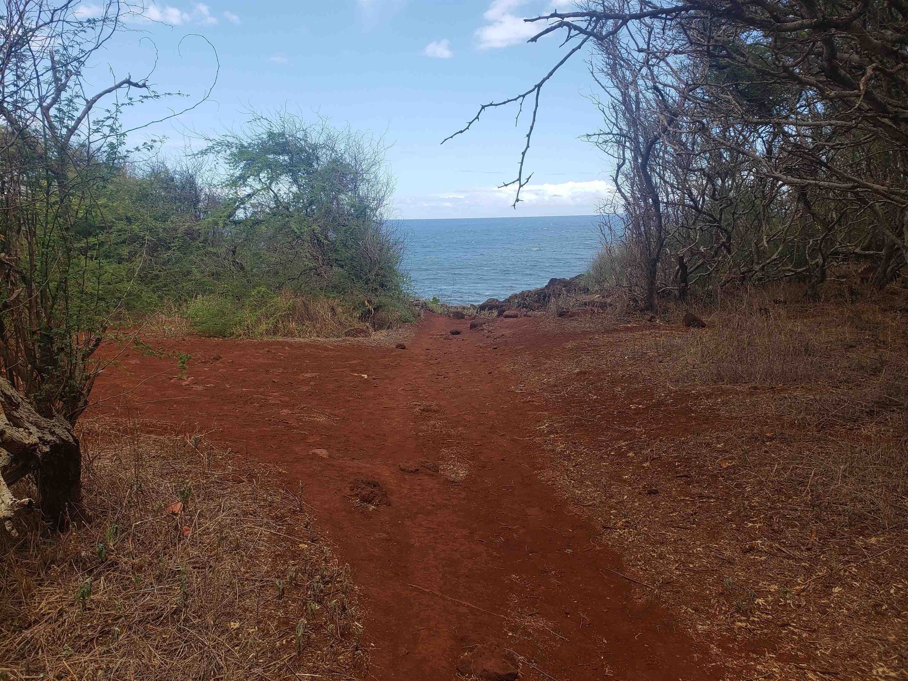 4131 Pohakuloa Rd Lot # 189 Maunaloa, Hi vacant land for sale - photo 12 of 15