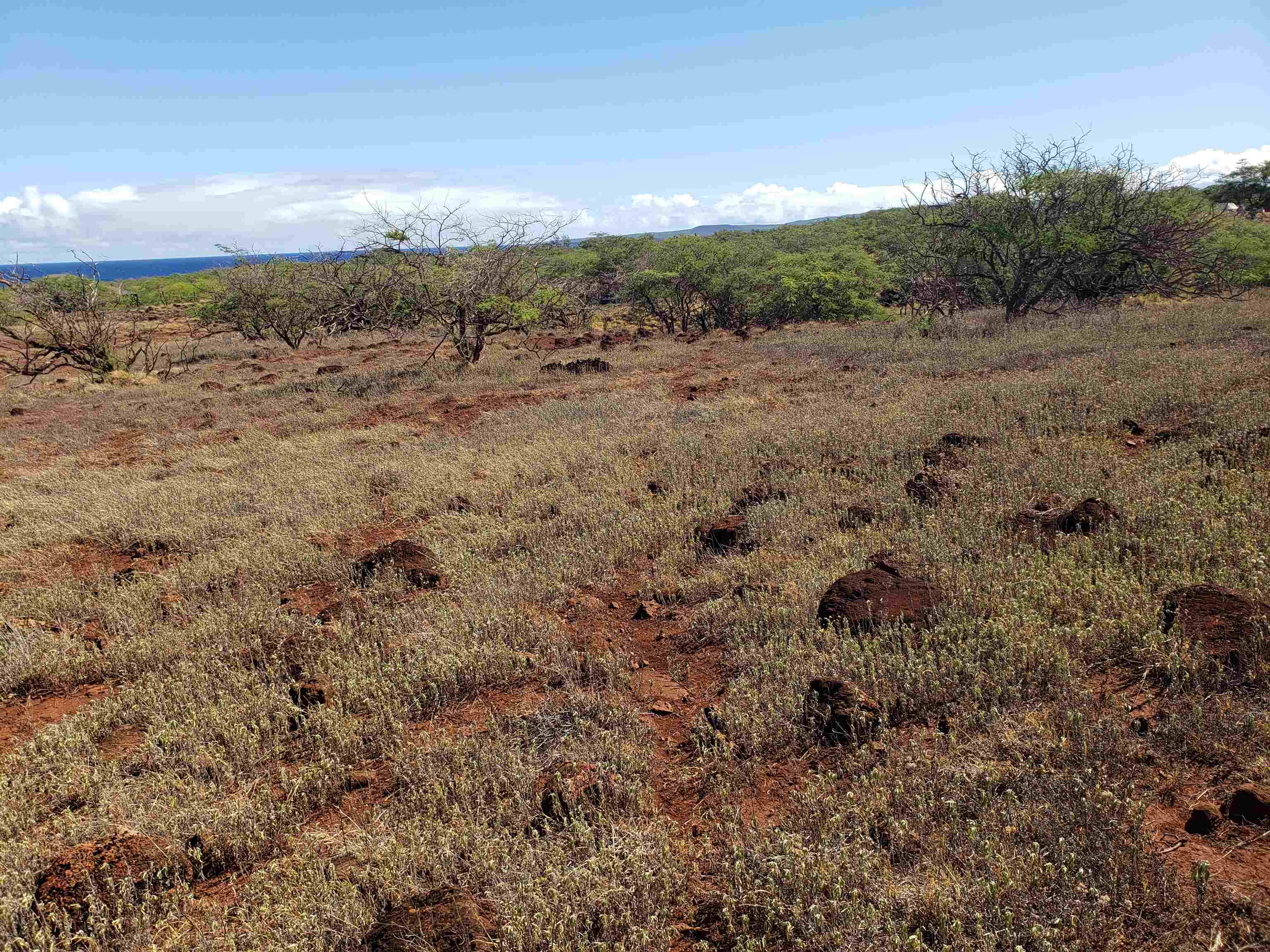 4131 Pohakuloa Rd Lot # 189 Maunaloa, Hi vacant land for sale - photo 3 of 15