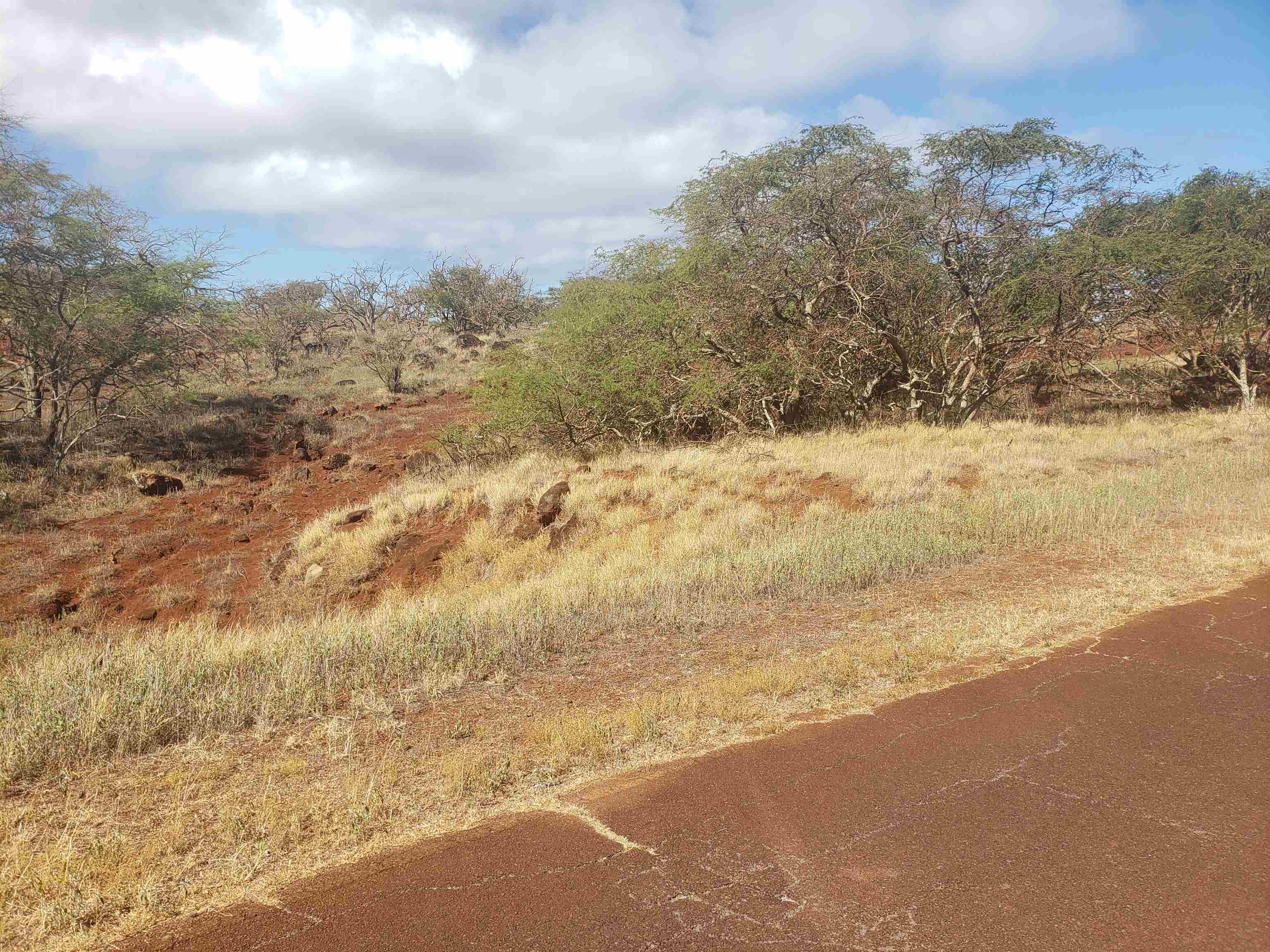 4131 Pohakuloa Rd Lot # 189 Maunaloa, Hi vacant land for sale - photo 7 of 15