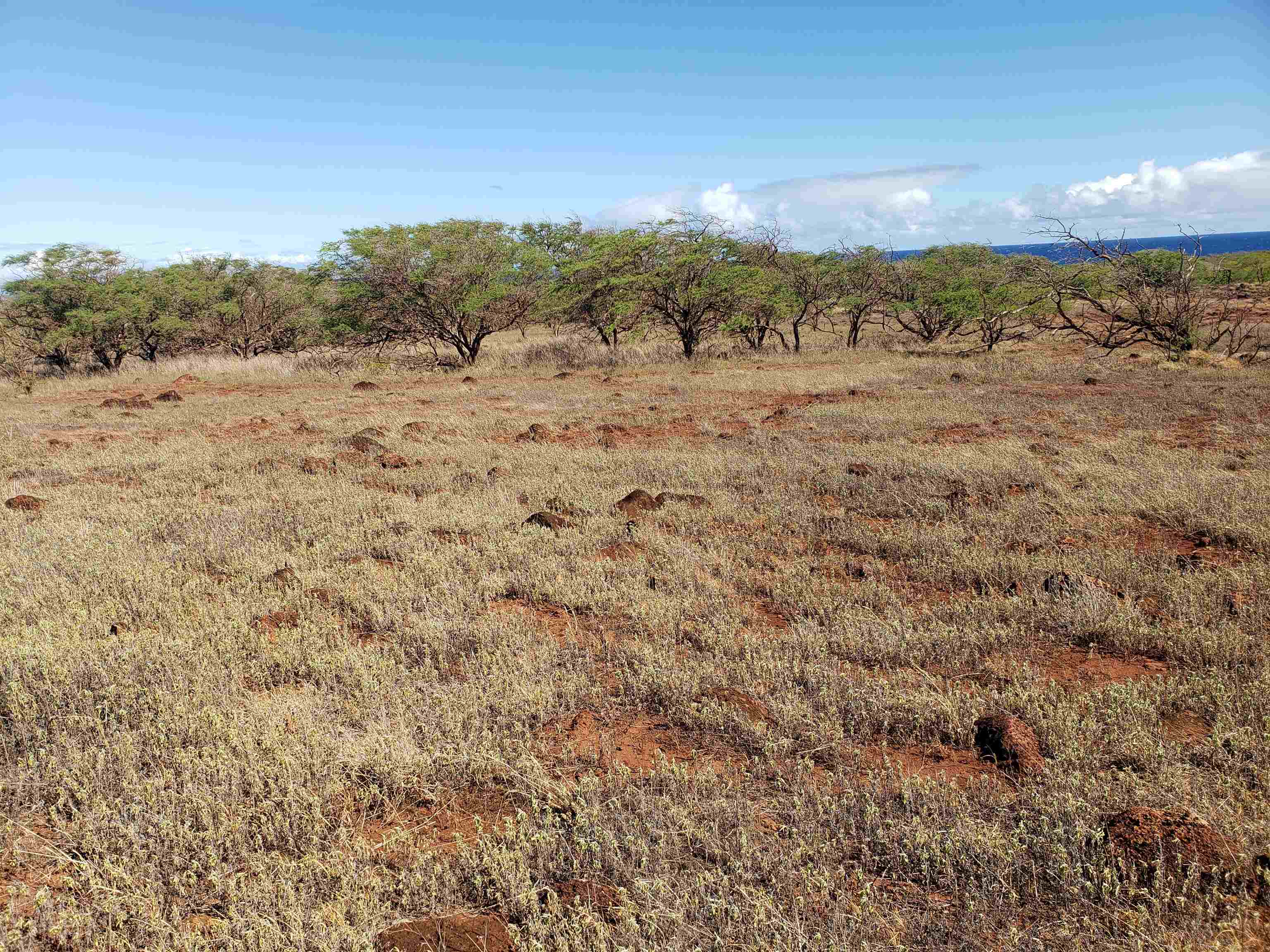 4131 Pohakuloa Rd Lot # 189 Maunaloa, Hi vacant land for sale - photo 8 of 15