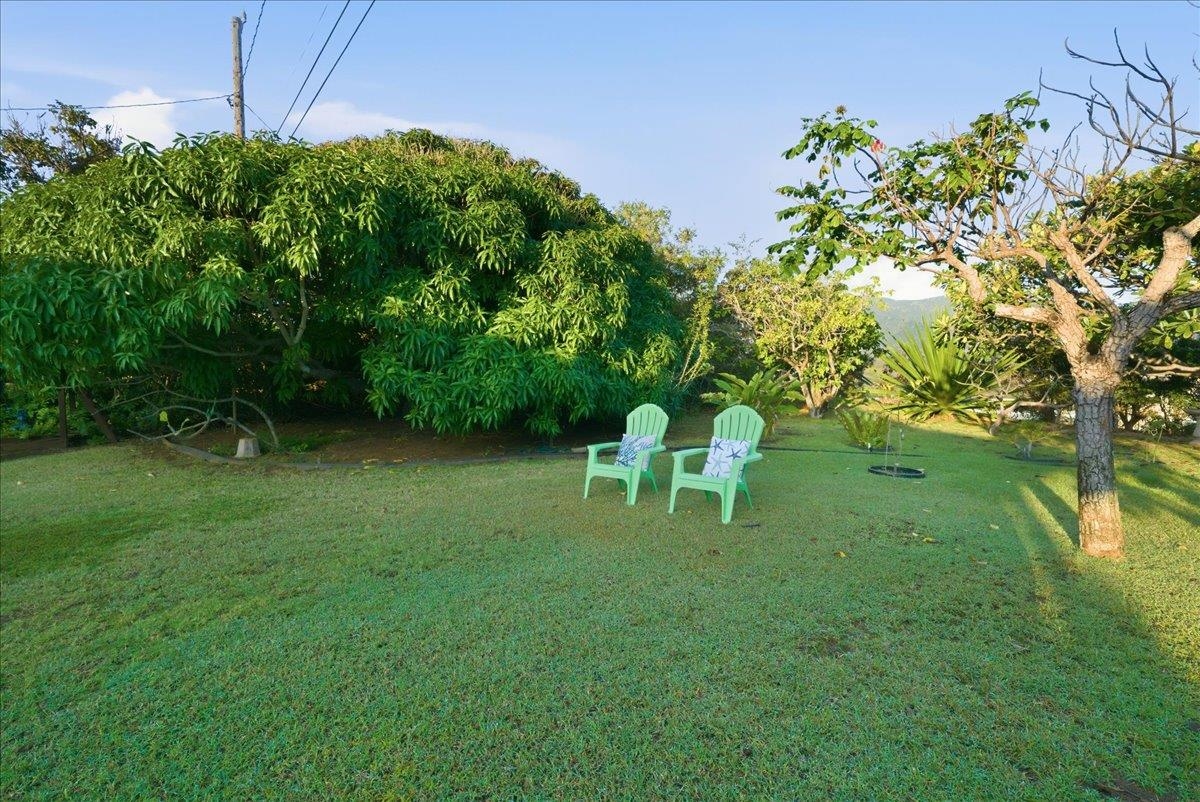 417  Liholiho St Old Sand Hills, Wailuku home - photo 32 of 50