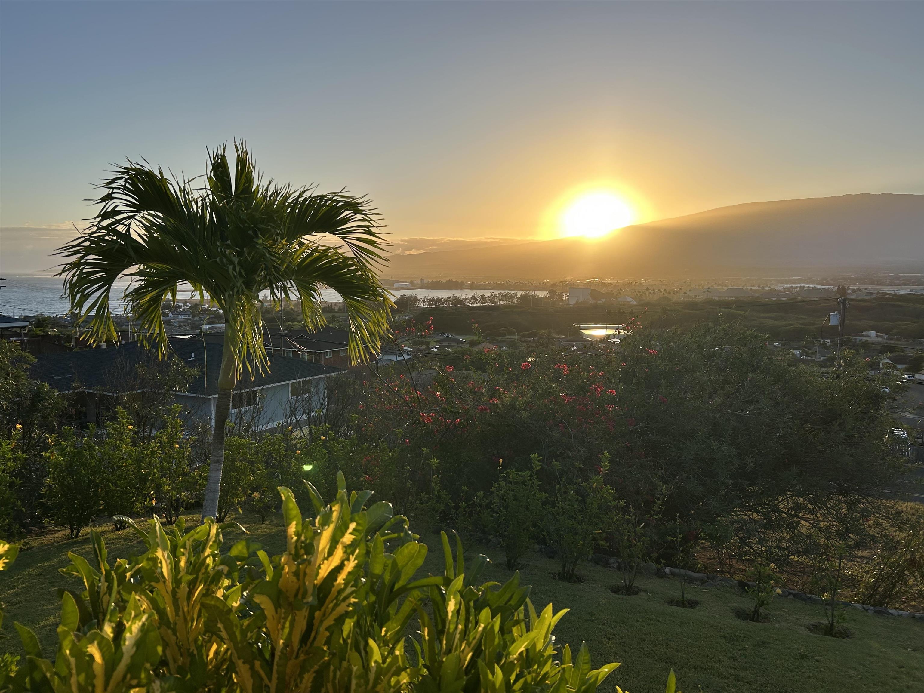 417  Liholiho St Old Sand Hills, Wailuku home - photo 46 of 50