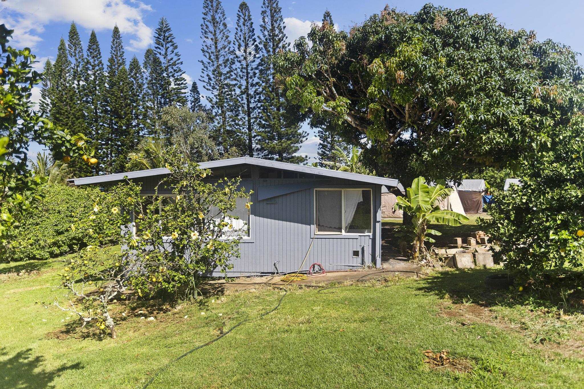 4174  Hana Hwy , Haiku home - photo 17 of 30