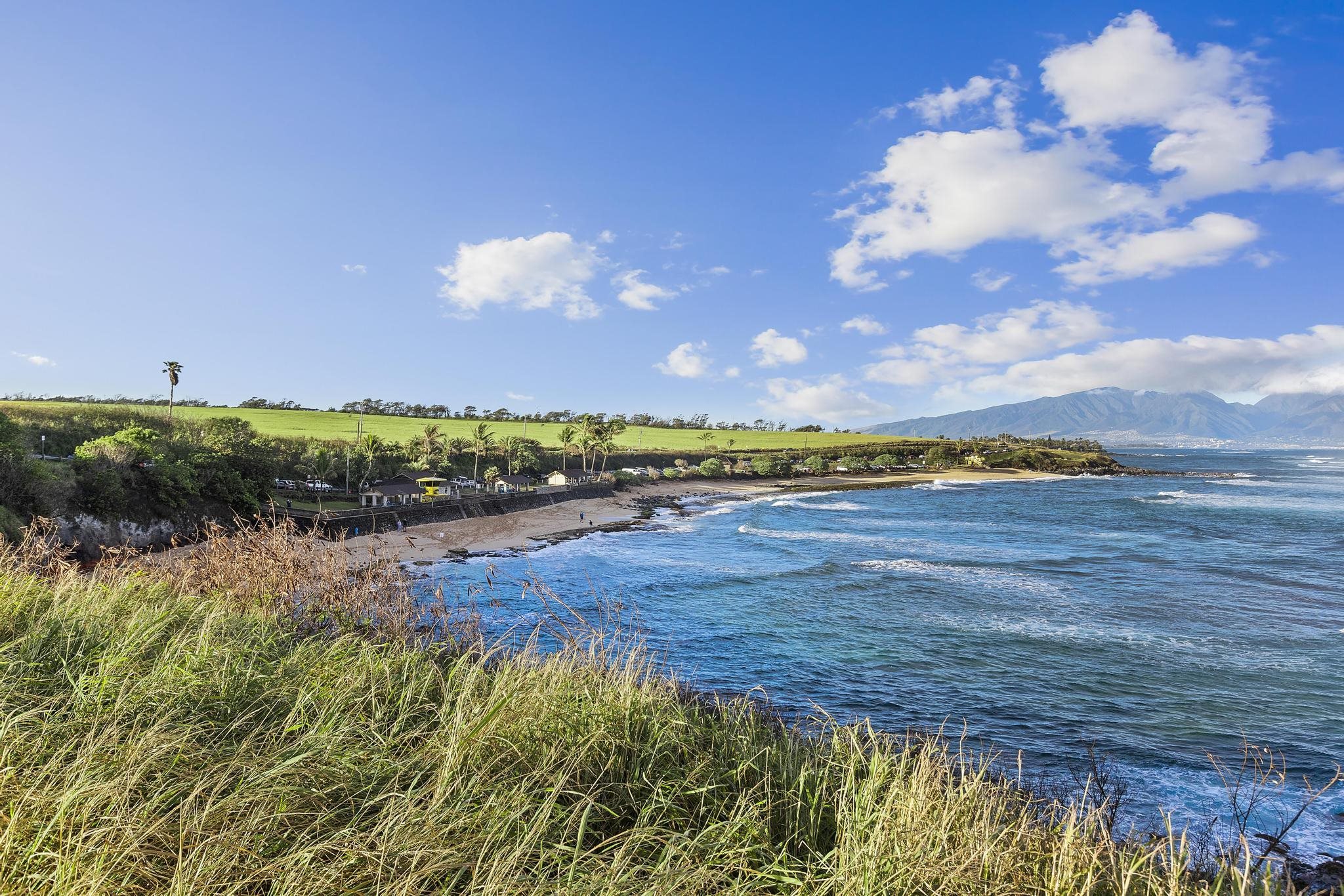 4174  Hana Hwy , Haiku home - photo 18 of 30