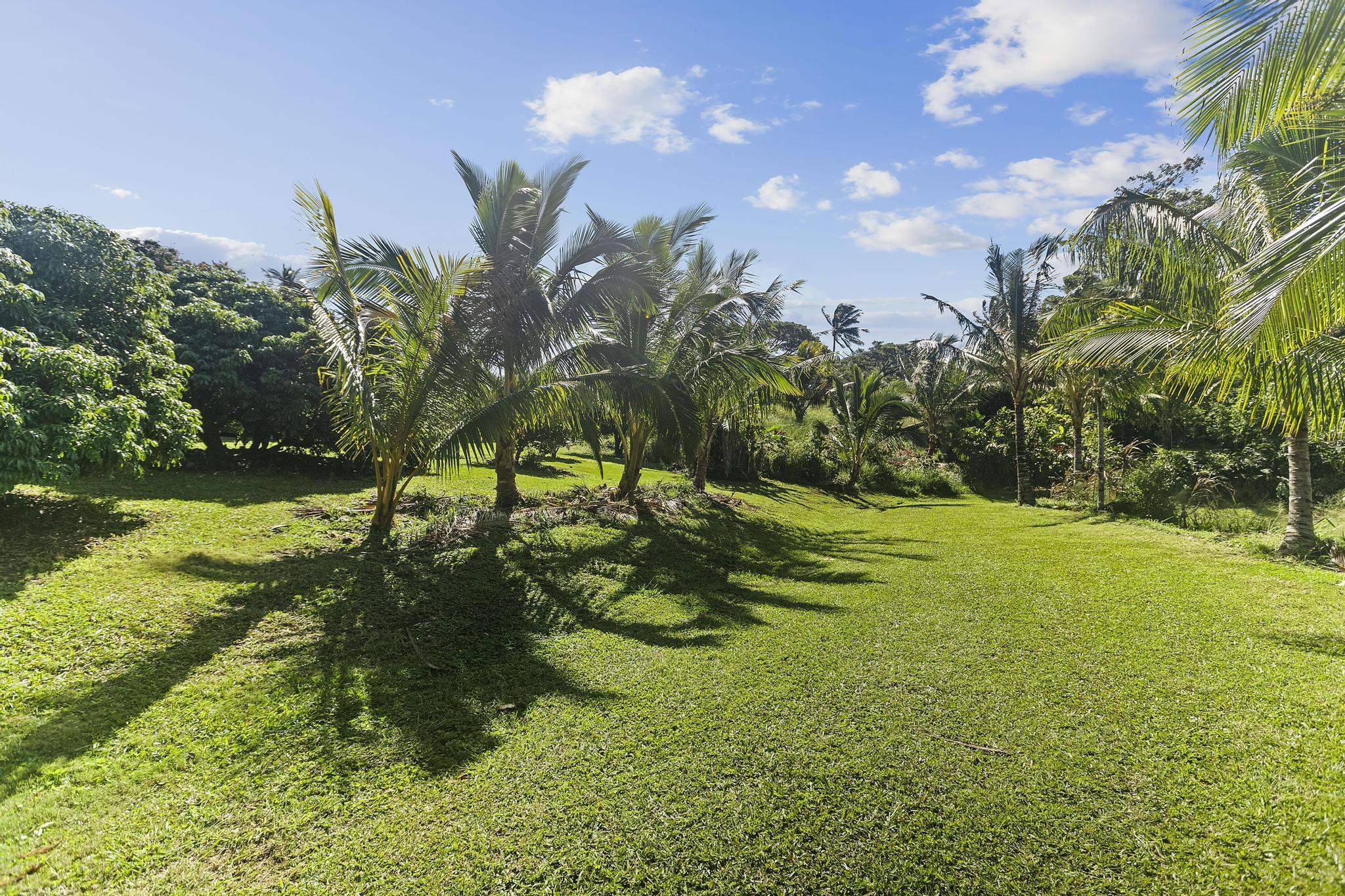 4174  Hana Hwy , Haiku home - photo 27 of 30