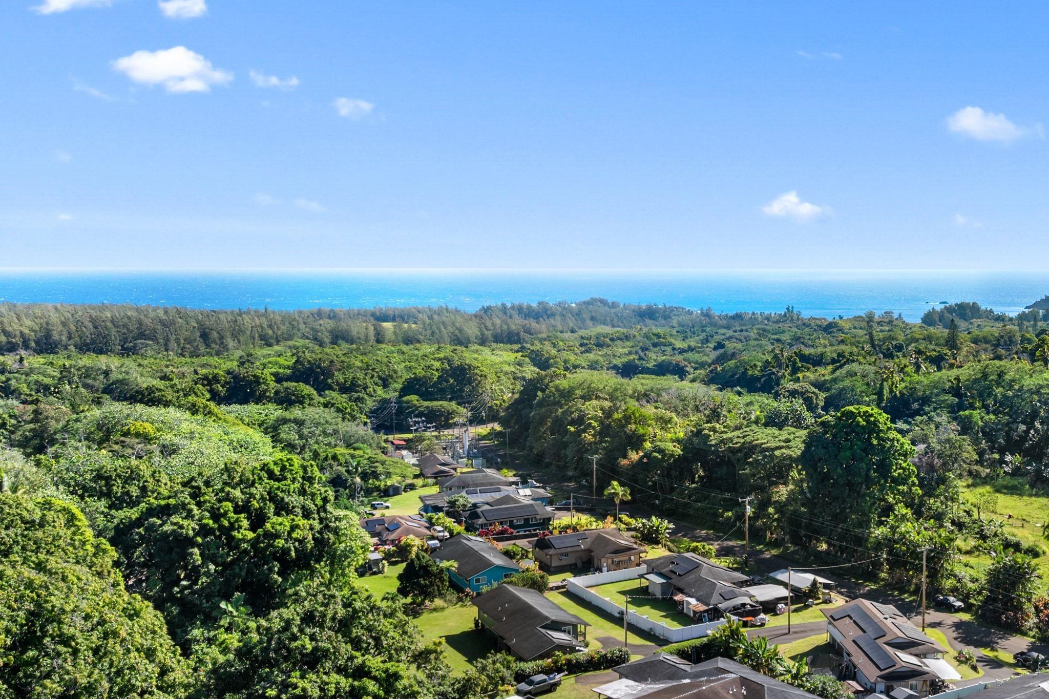 42  Kawai Ola Pl , Hana home - photo 34 of 36