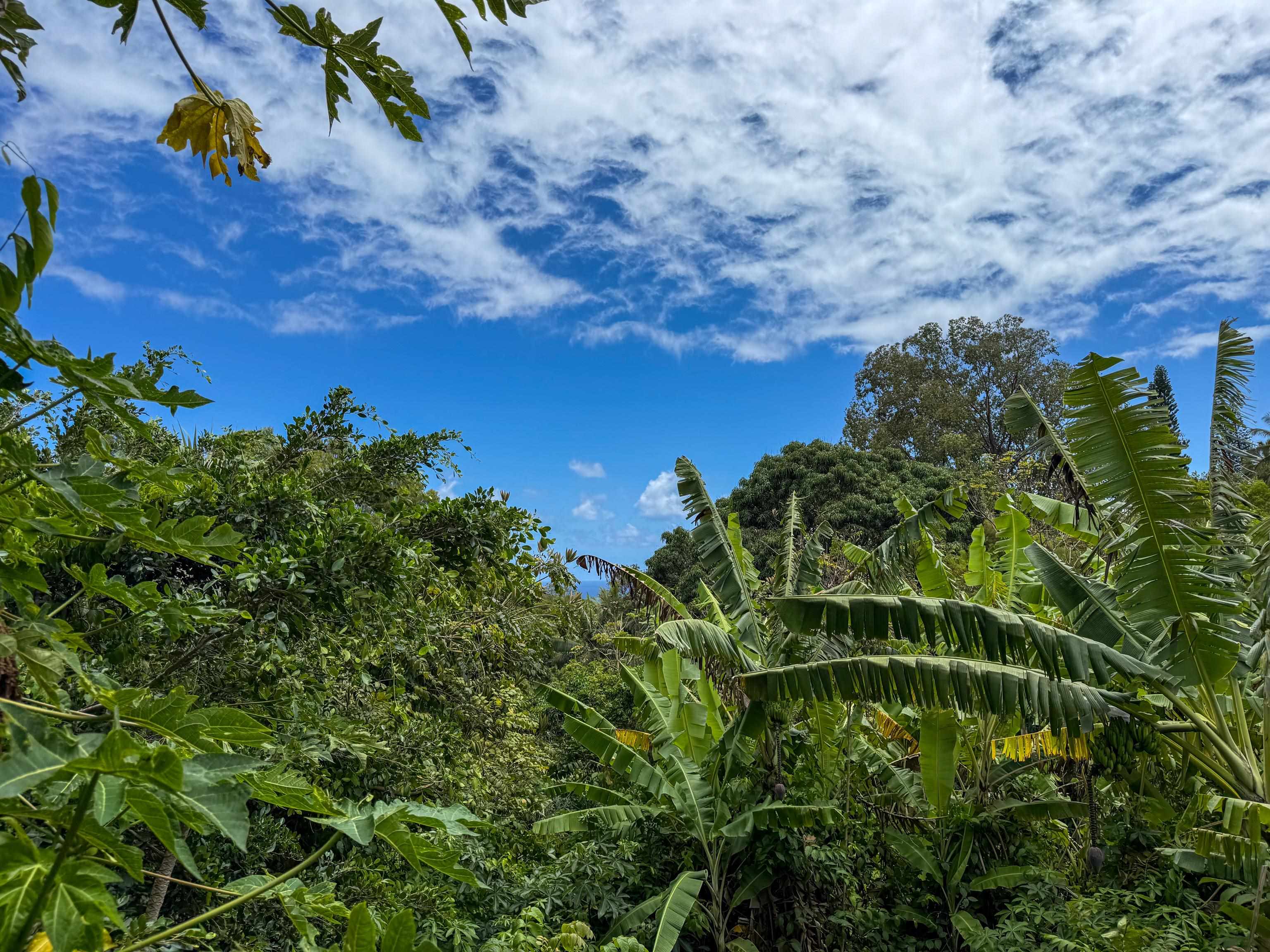 420  Haumana Rd , Haiku home - photo 22 of 34