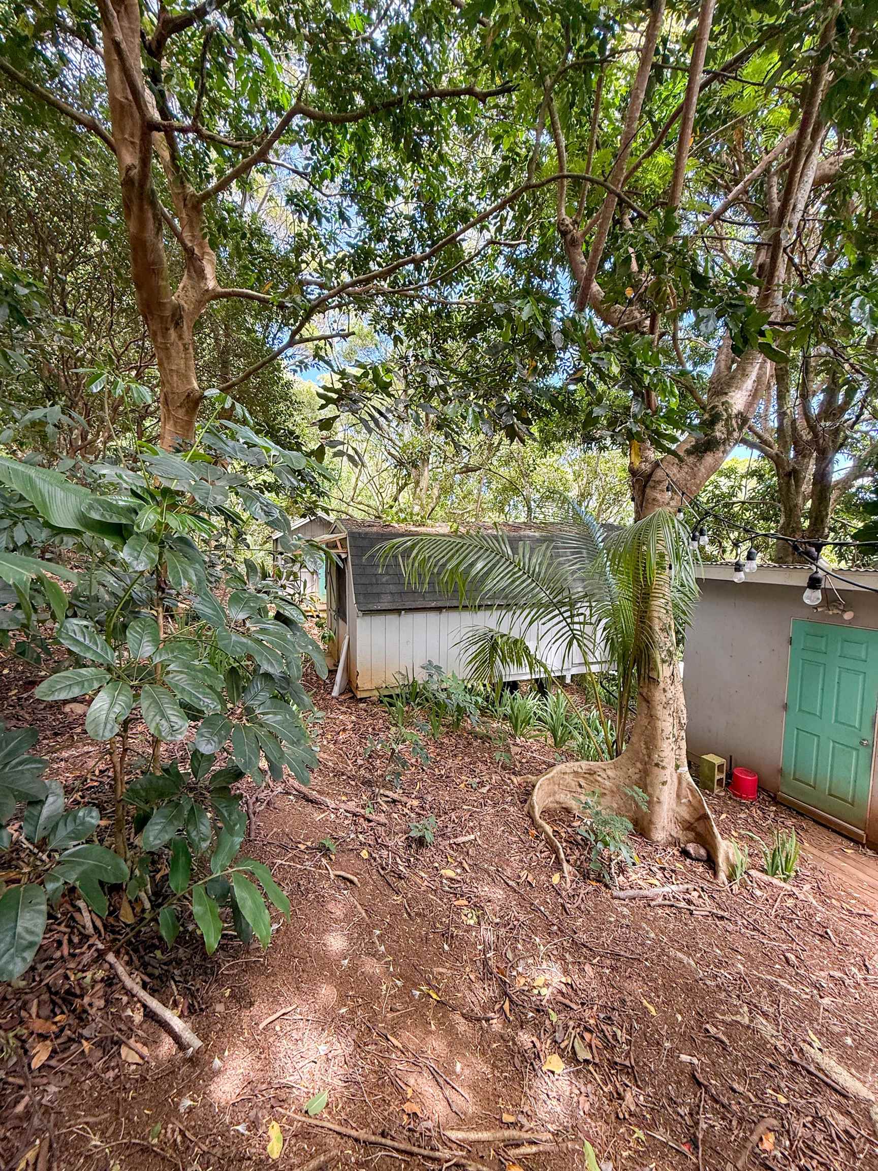 420  Haumana Rd , Haiku home - photo 32 of 34