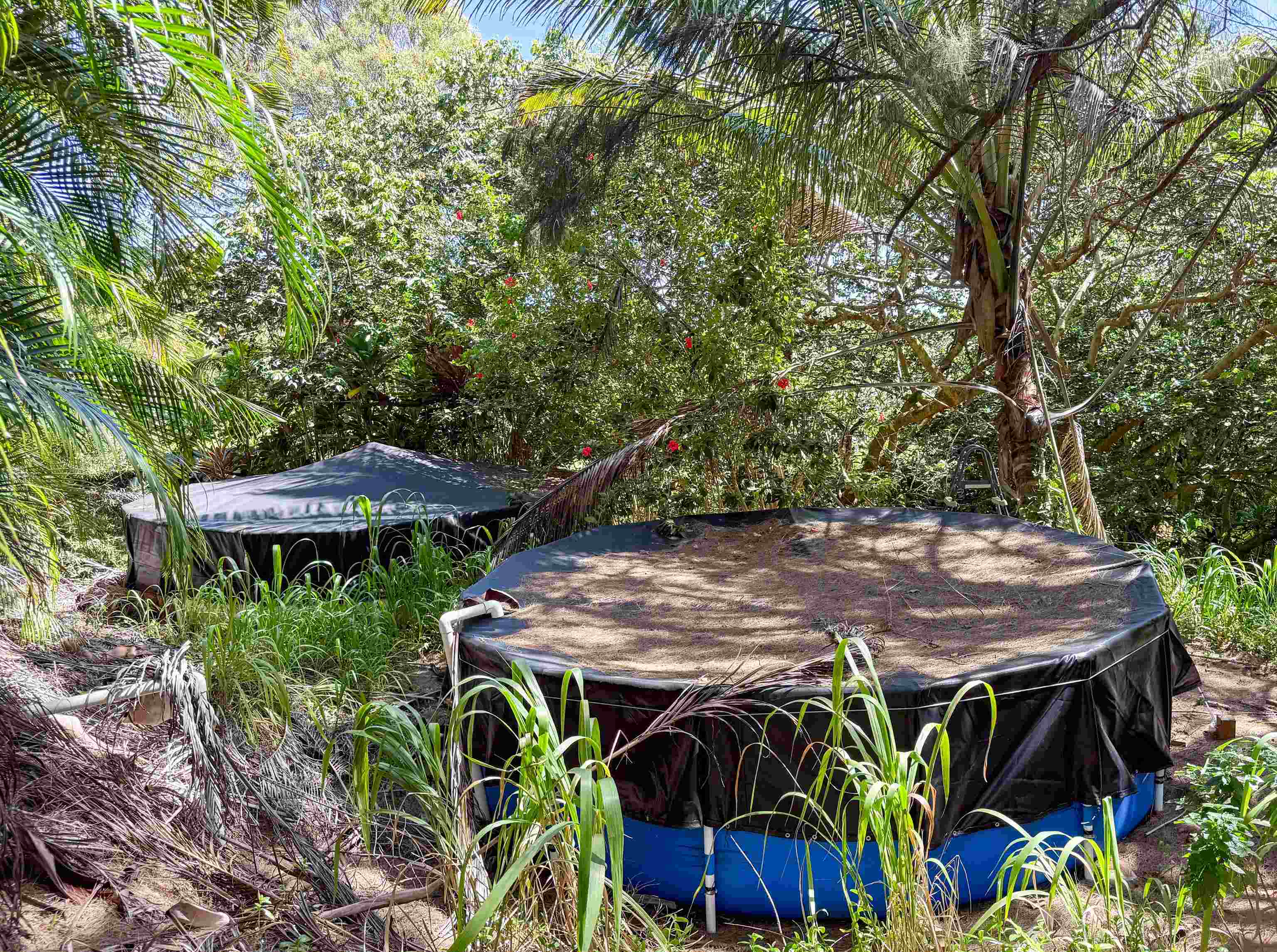 420  Haumana Rd , Haiku home - photo 33 of 34