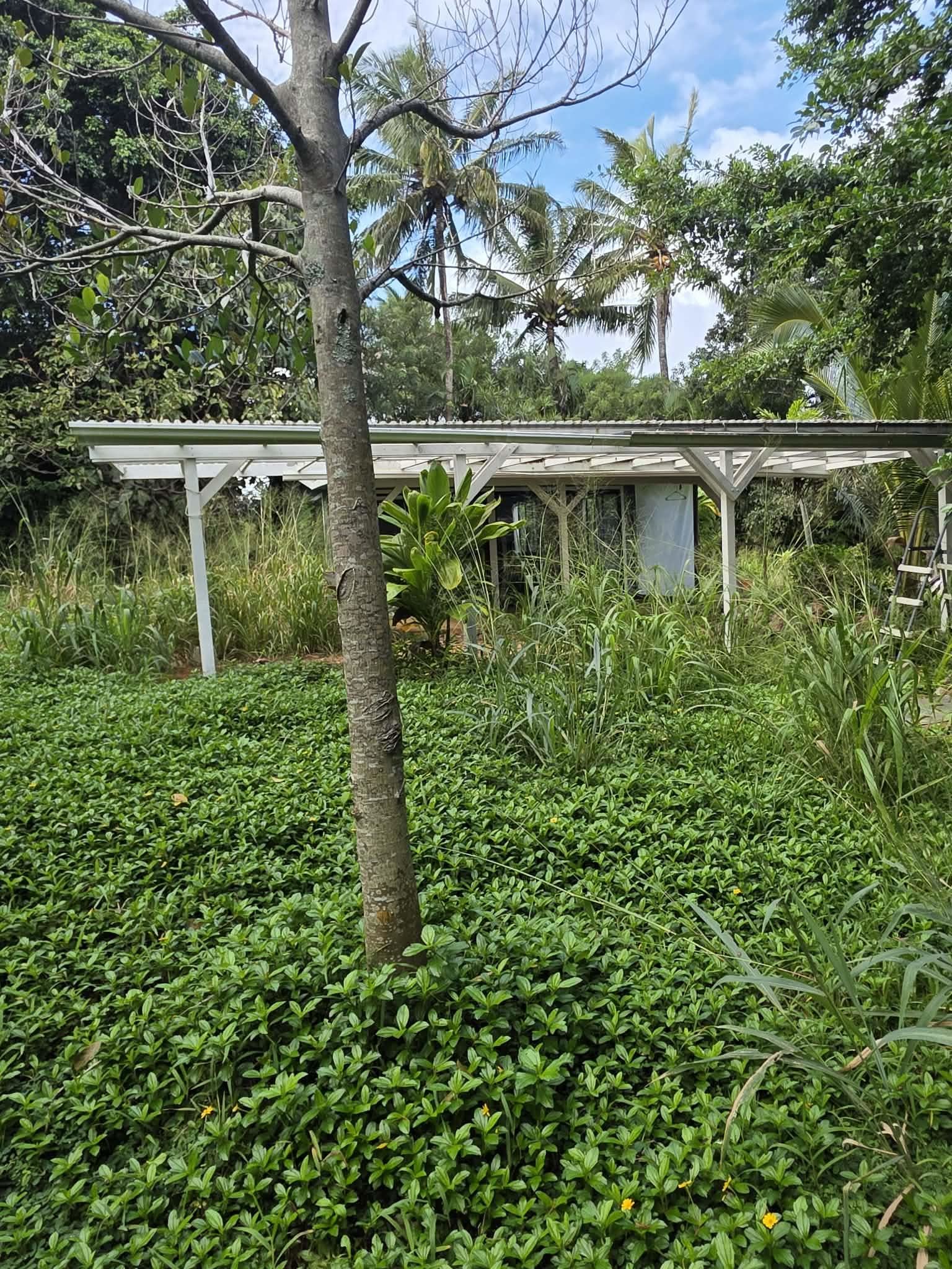 420  Haumana Rd , Haiku home - photo 2 of 31