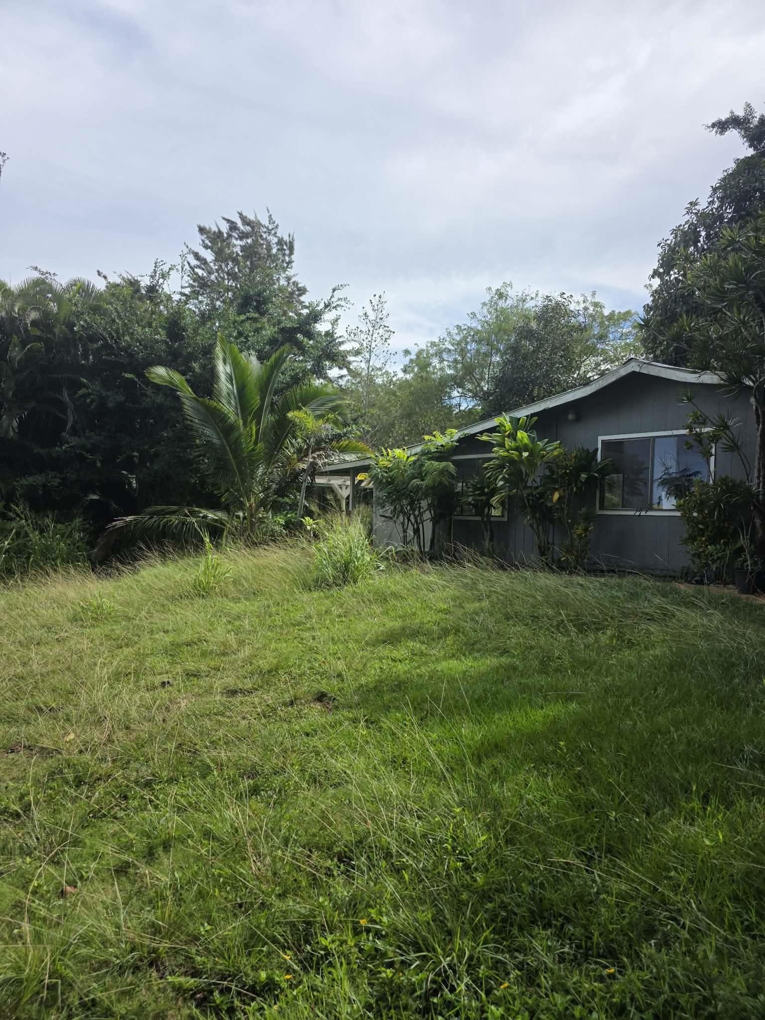 420  Haumana Rd , Haiku home - photo 13 of 31