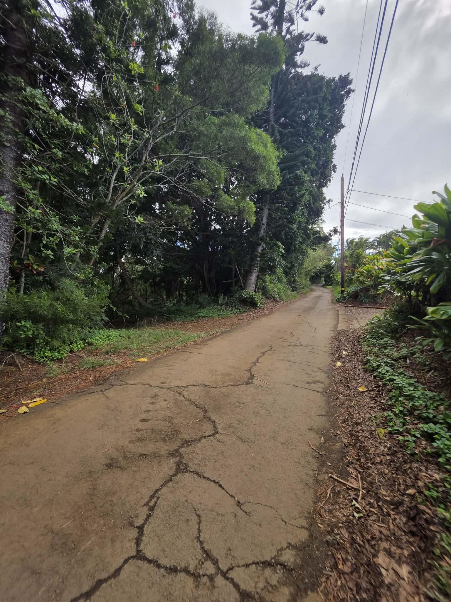 420  Haumana Rd , Haiku home - photo 15 of 31