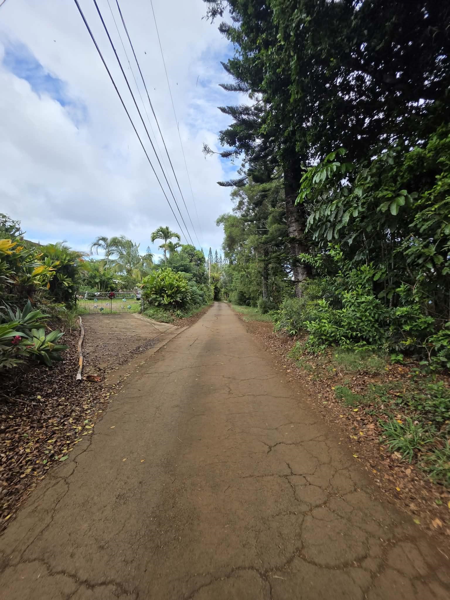 420  Haumana Rd , Haiku home - photo 18 of 31