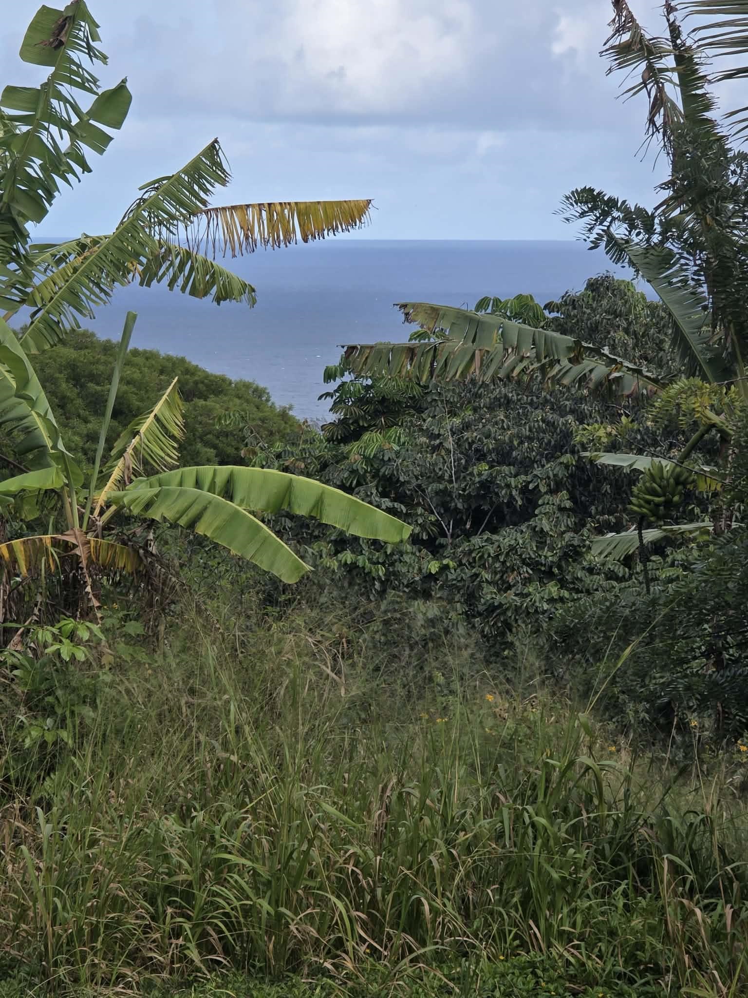 420  Haumana Rd , Haiku home - photo 19 of 31