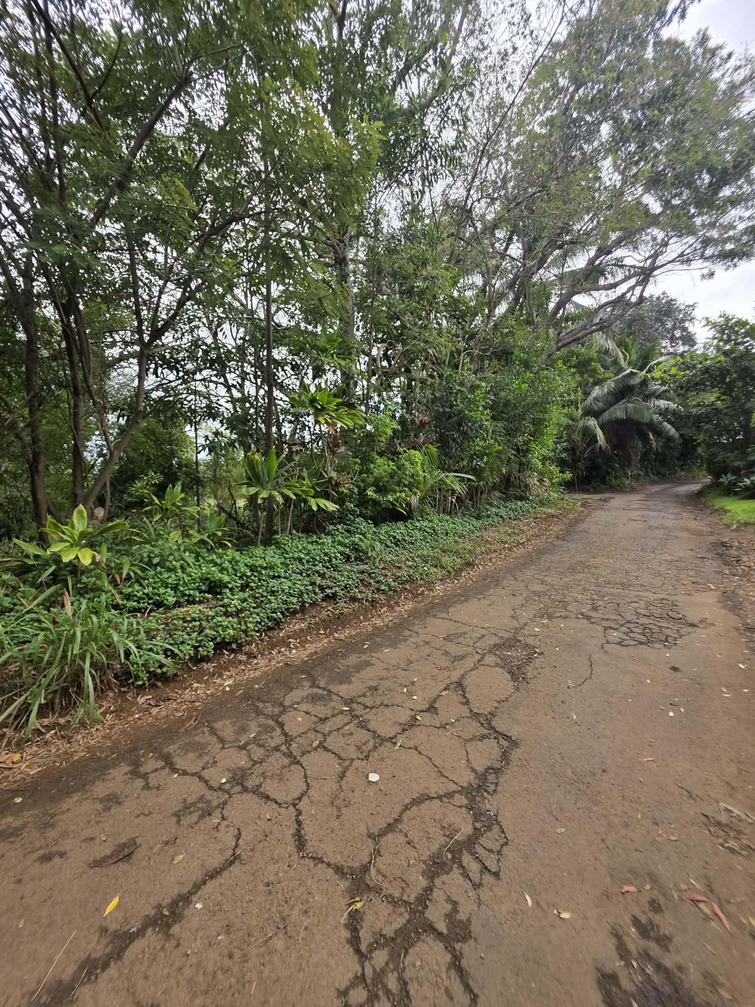 420  Haumana Rd , Haiku home - photo 3 of 31