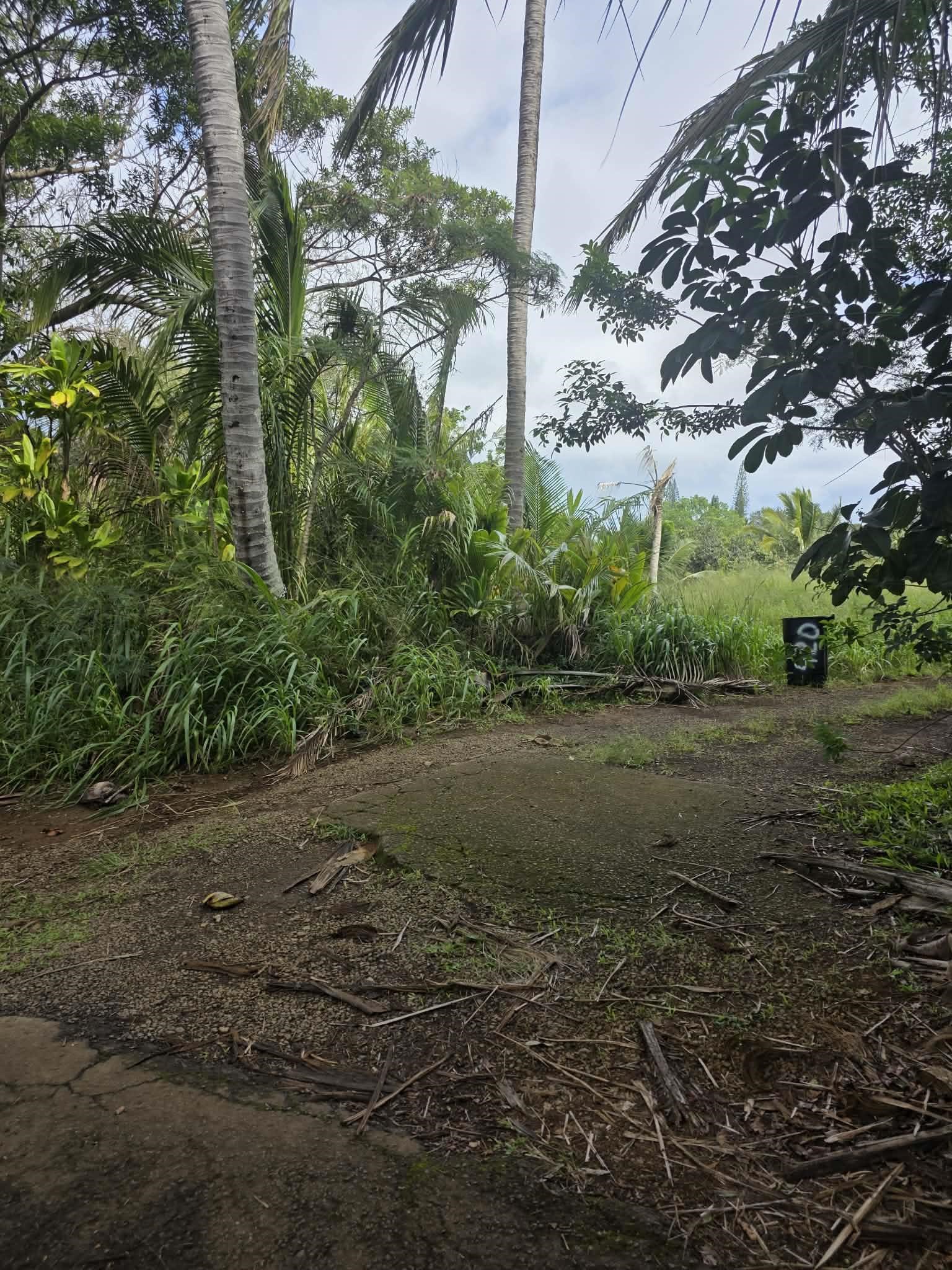 420  Haumana Rd , Haiku home - photo 22 of 31