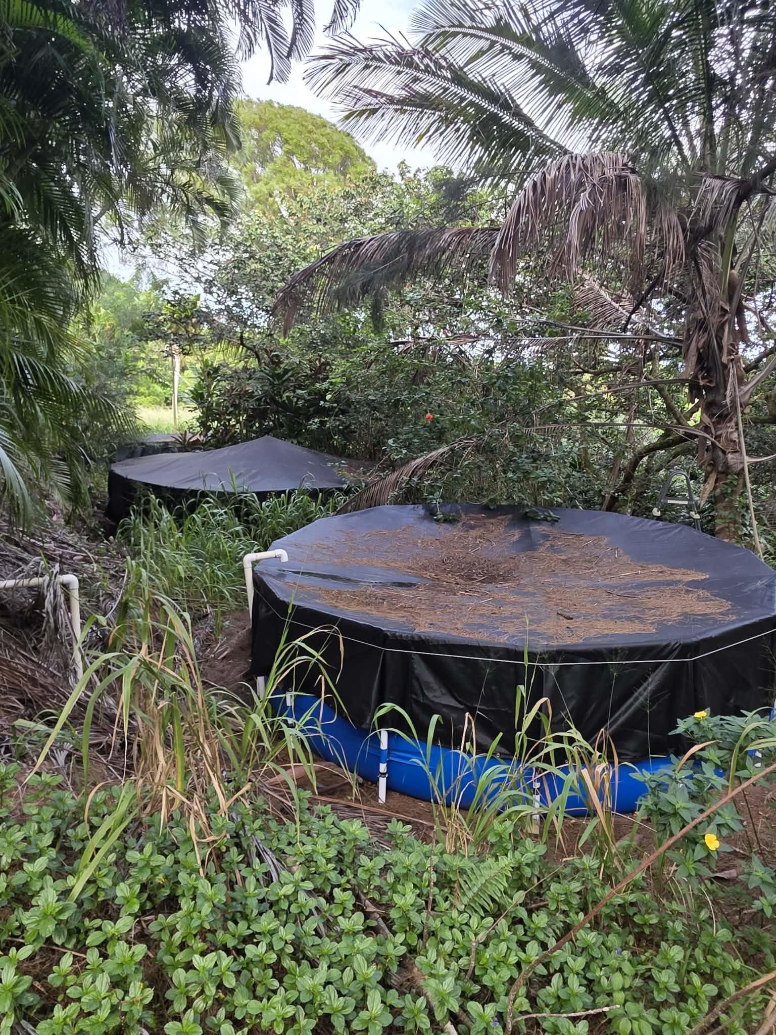 420  Haumana Rd , Haiku home - photo 25 of 31