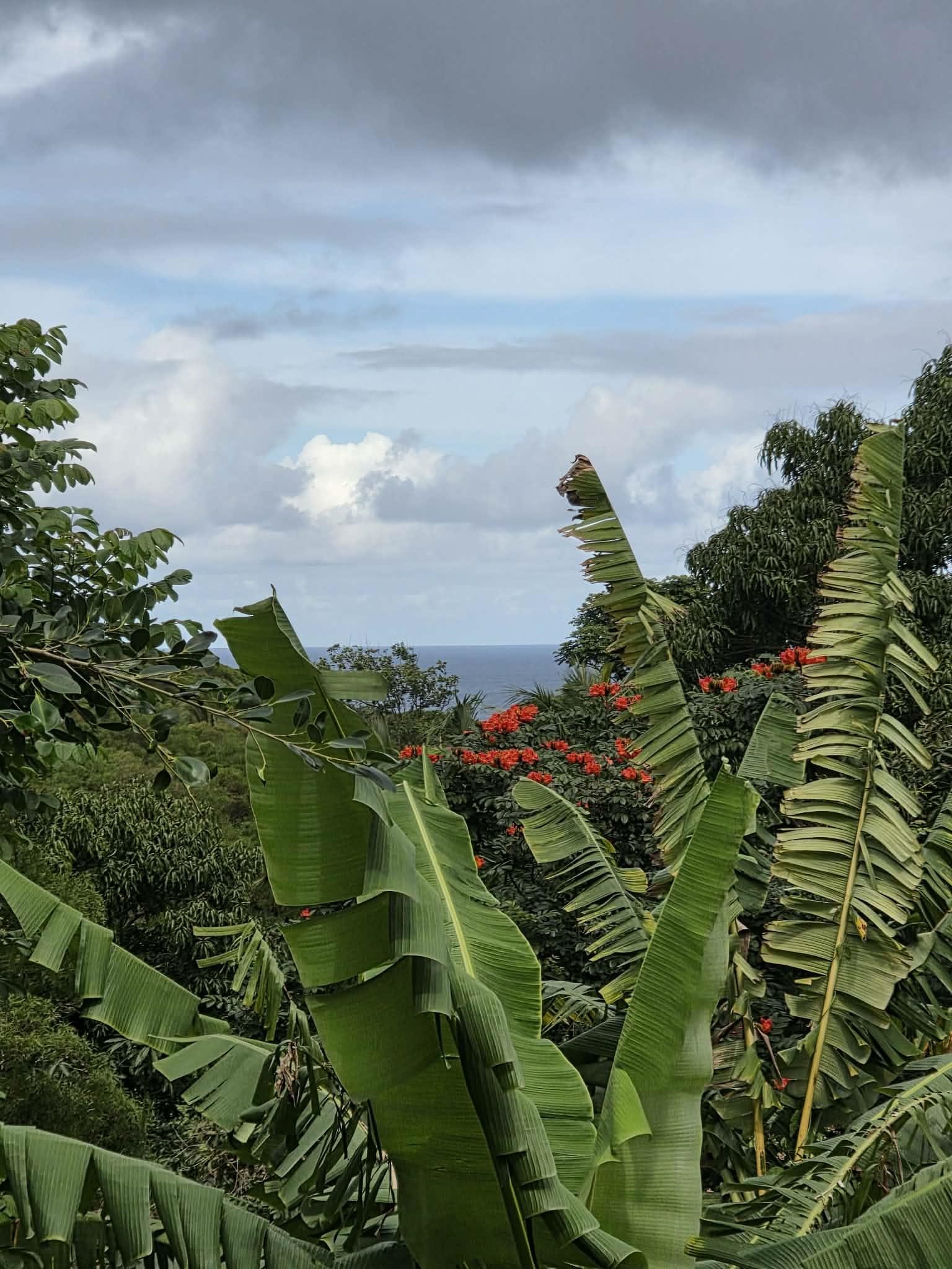 420  Haumana Rd , Haiku home - photo 27 of 31