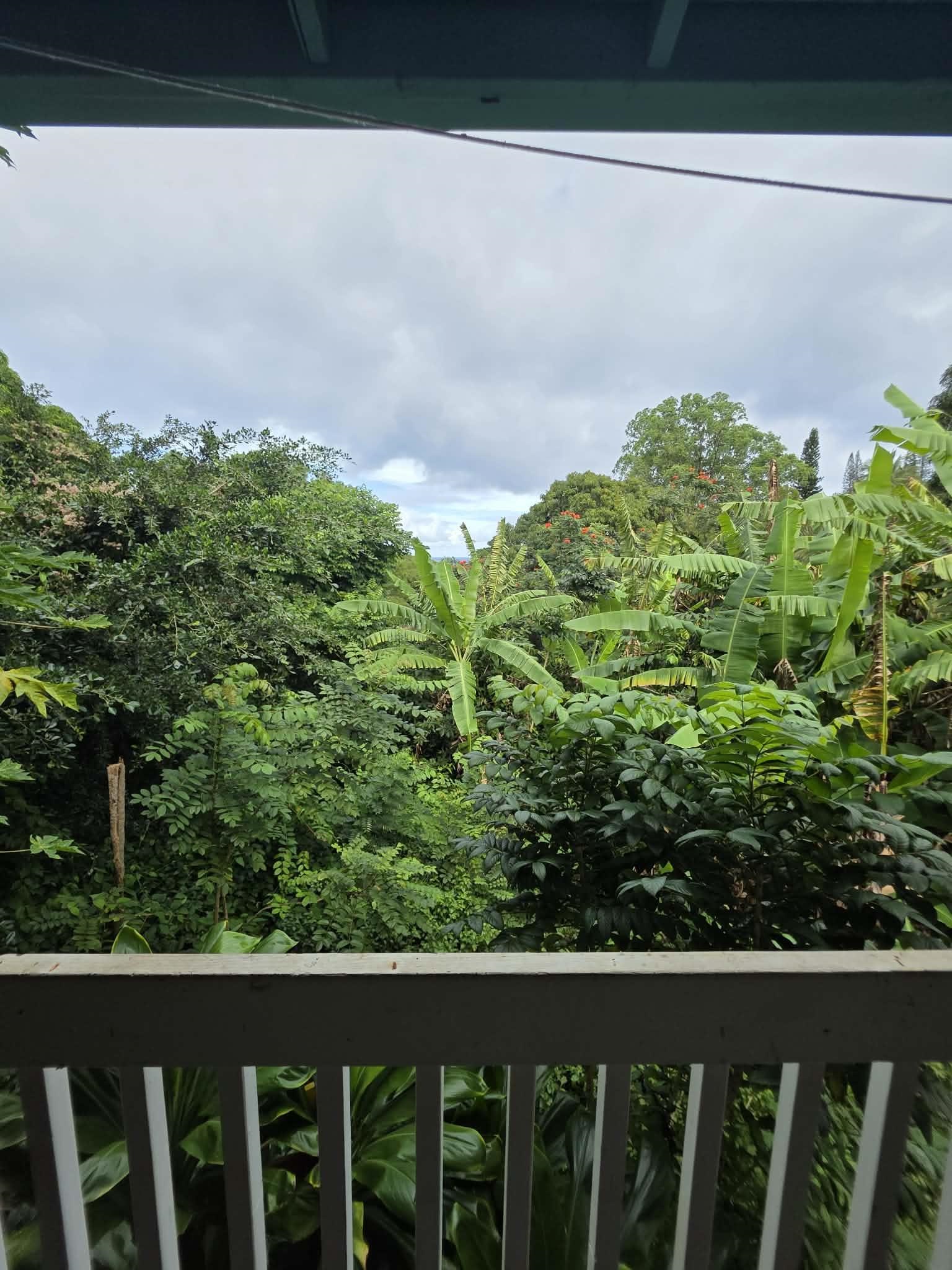 420  Haumana Rd , Haiku home - photo 30 of 31