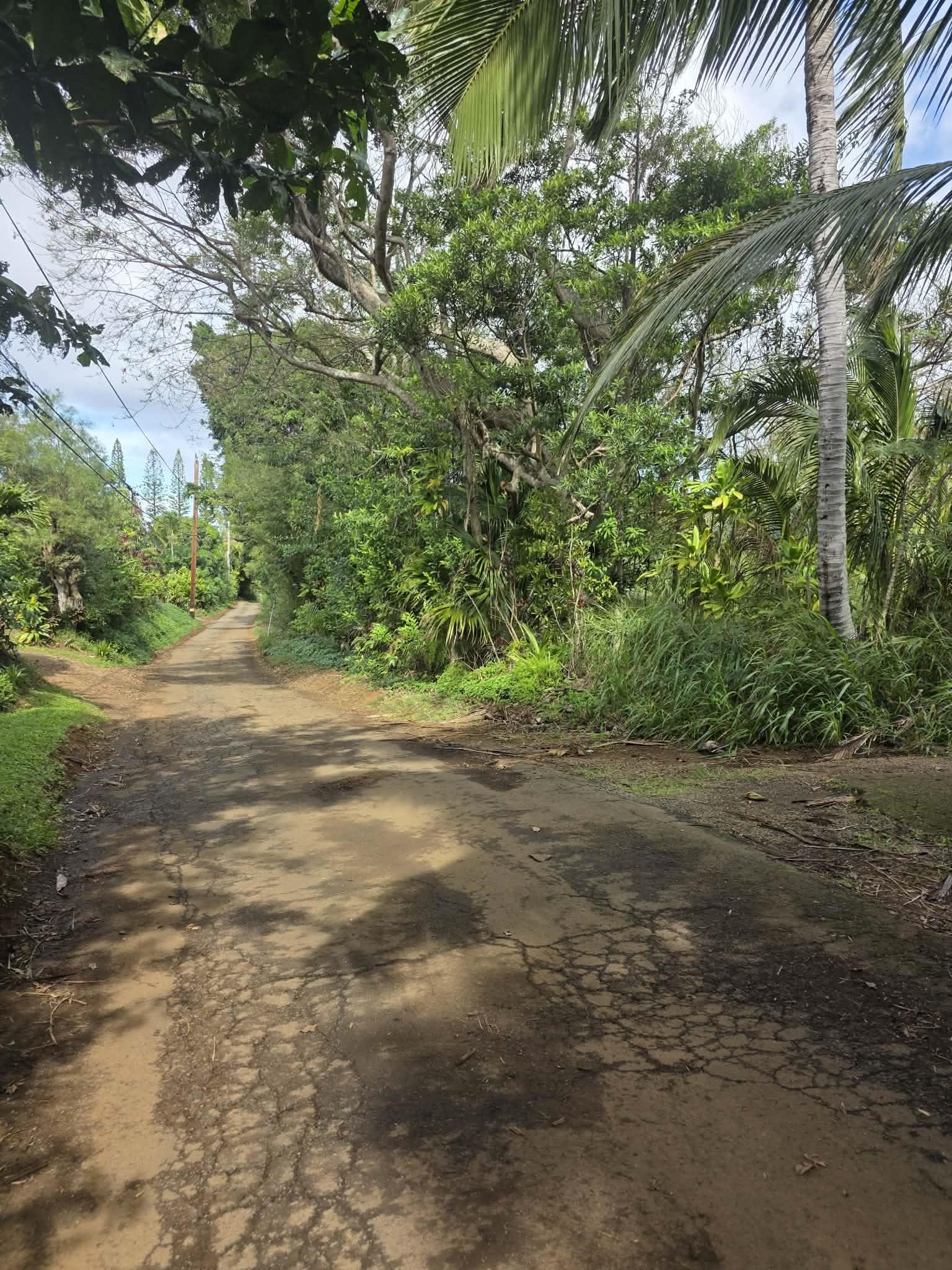 420  Haumana Rd , Haiku home - photo 8 of 31