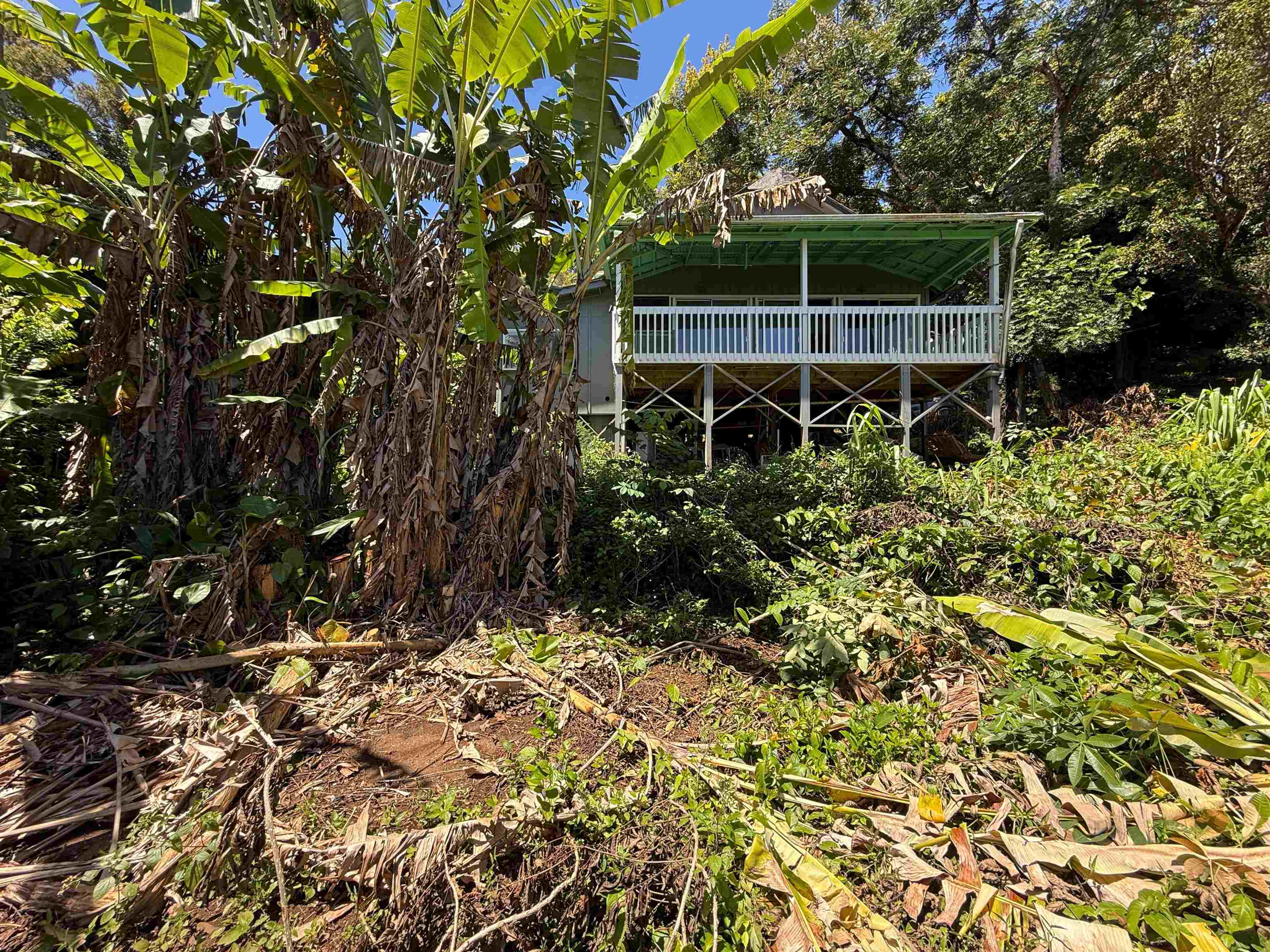 420  Haumana Rd , Haiku home - photo 16 of 33