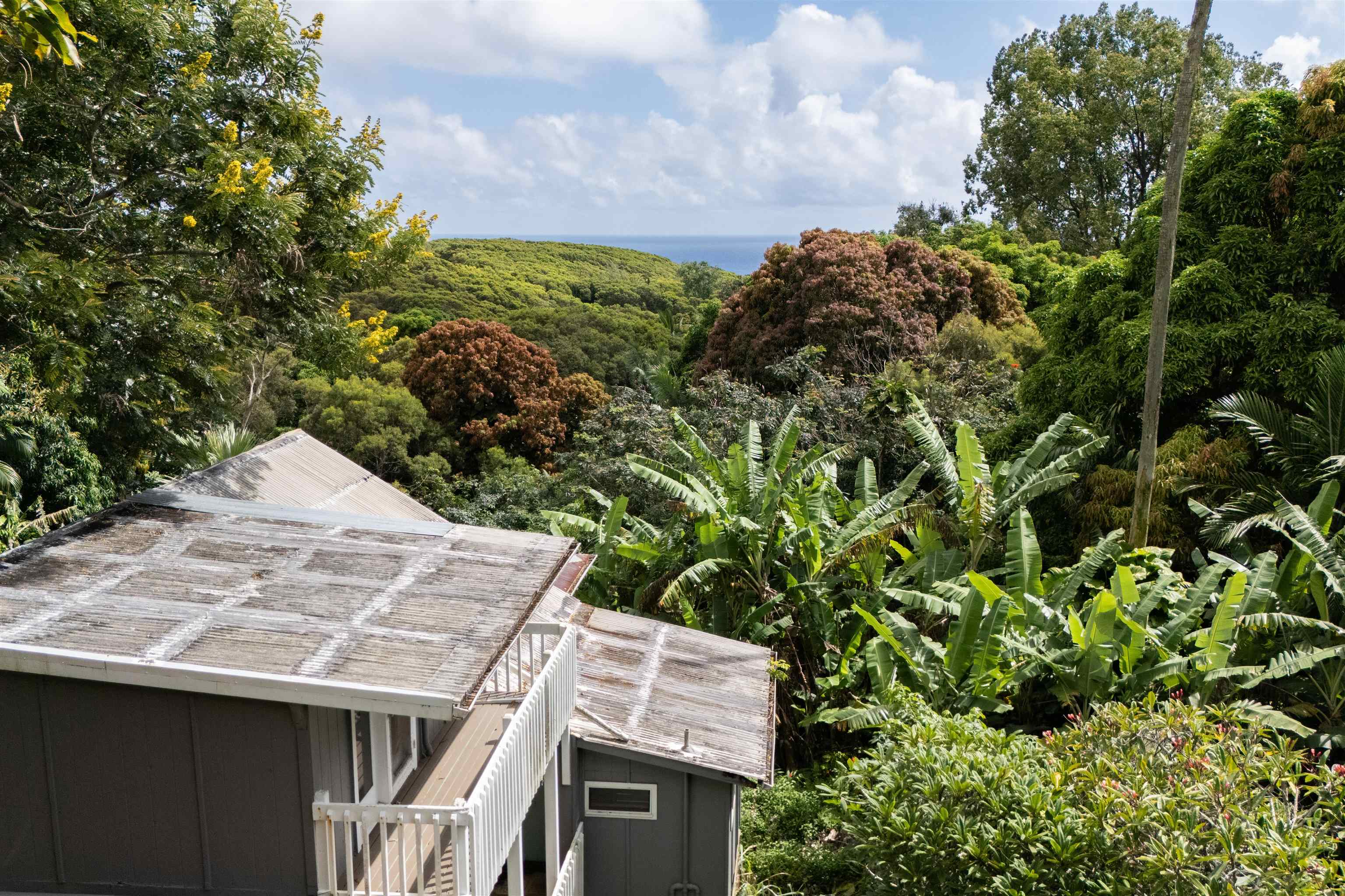 420  Haumana Rd , Haiku home - photo 3 of 33