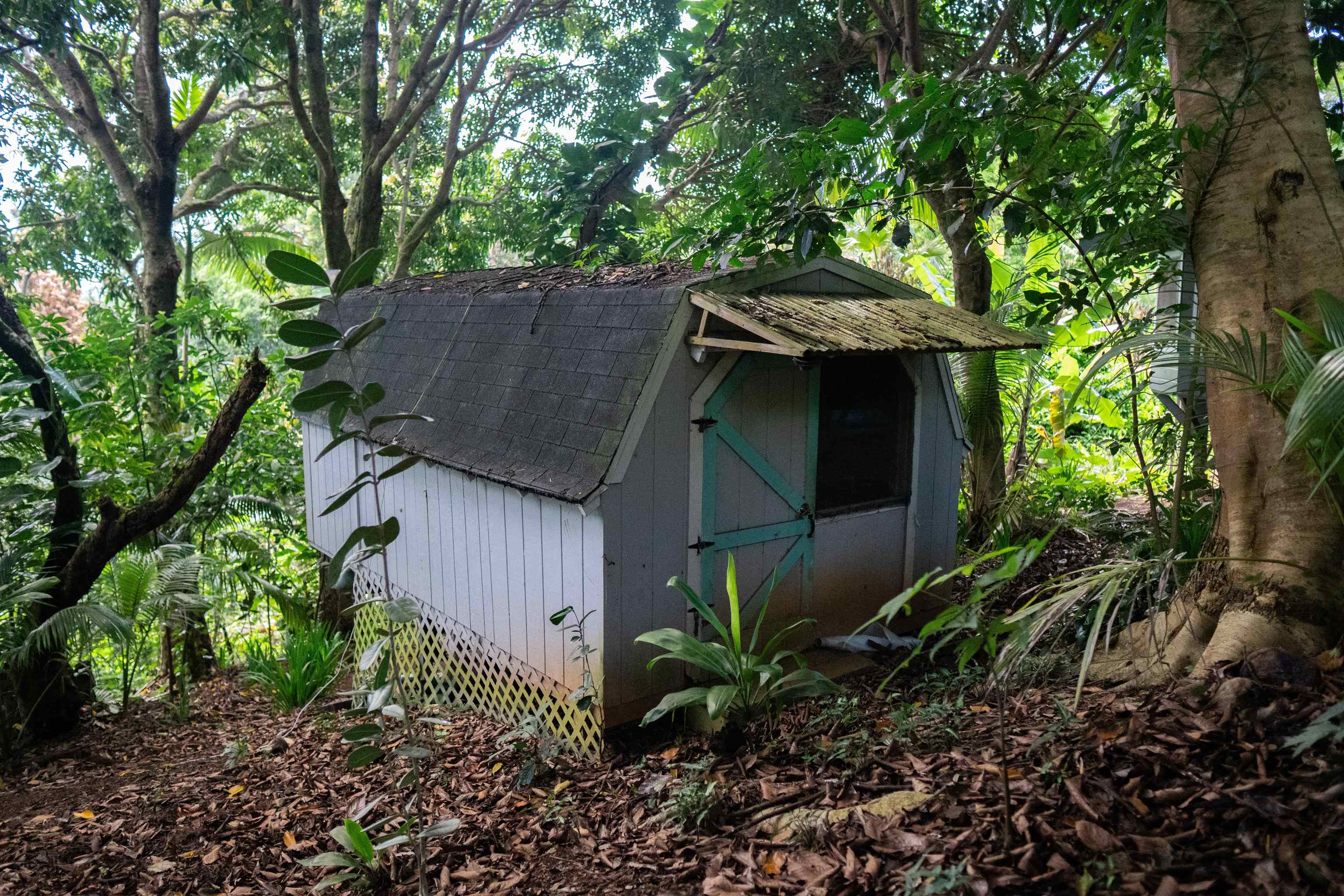 420  Haumana Rd , Haiku home - photo 24 of 50