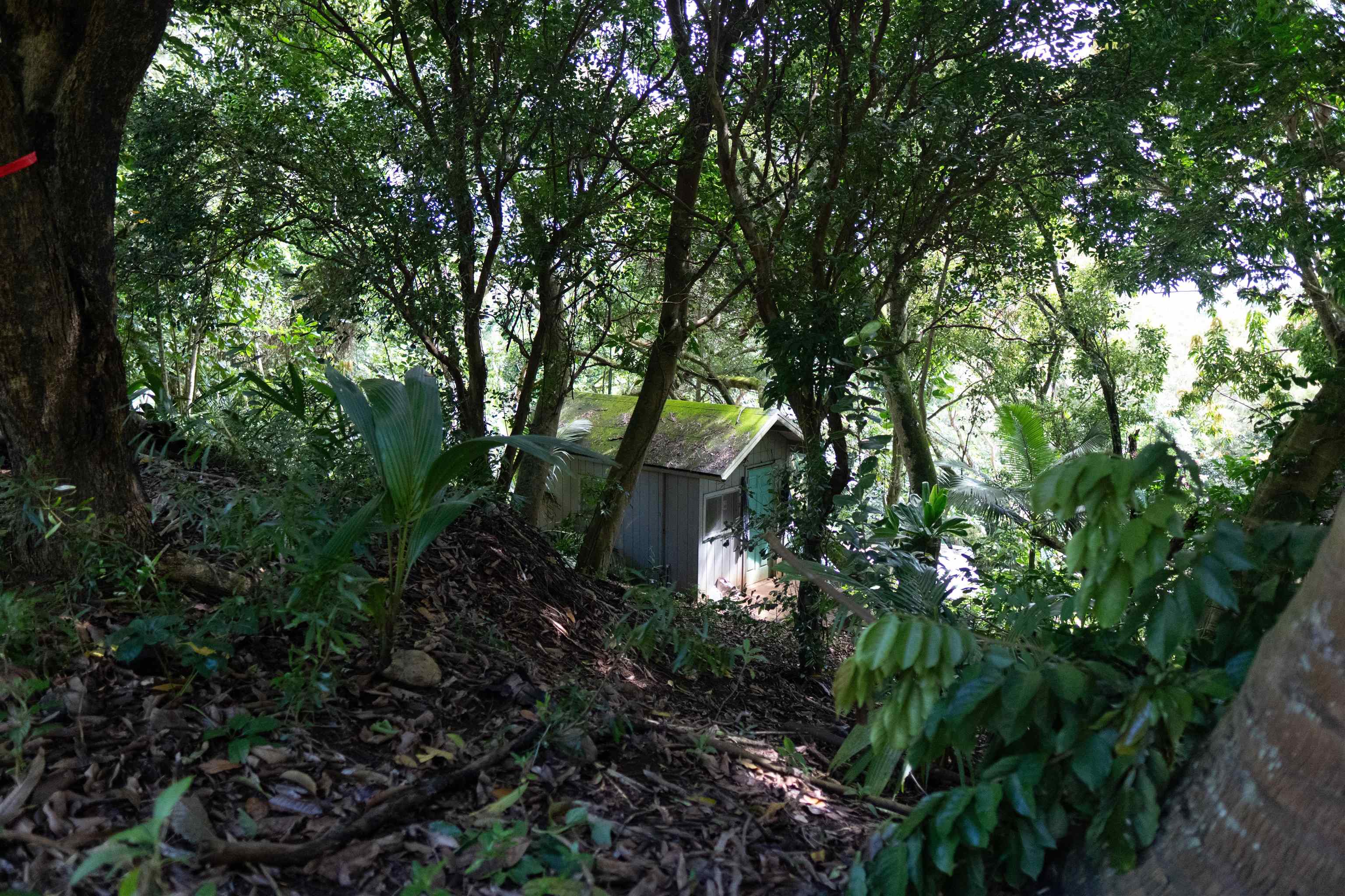 420  Haumana Rd , Haiku home - photo 29 of 50