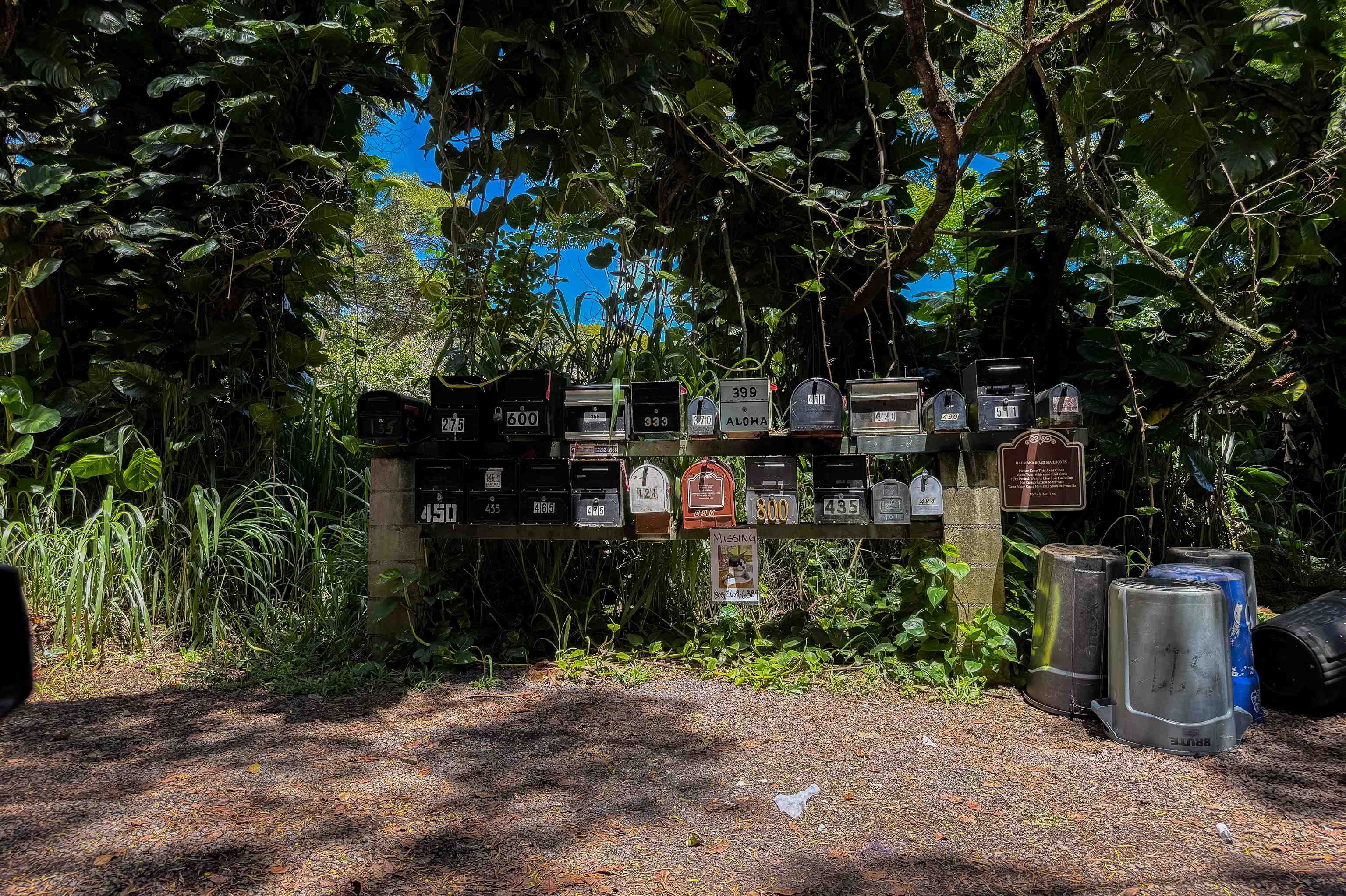 420  Haumana Rd , Haiku home - photo 32 of 33