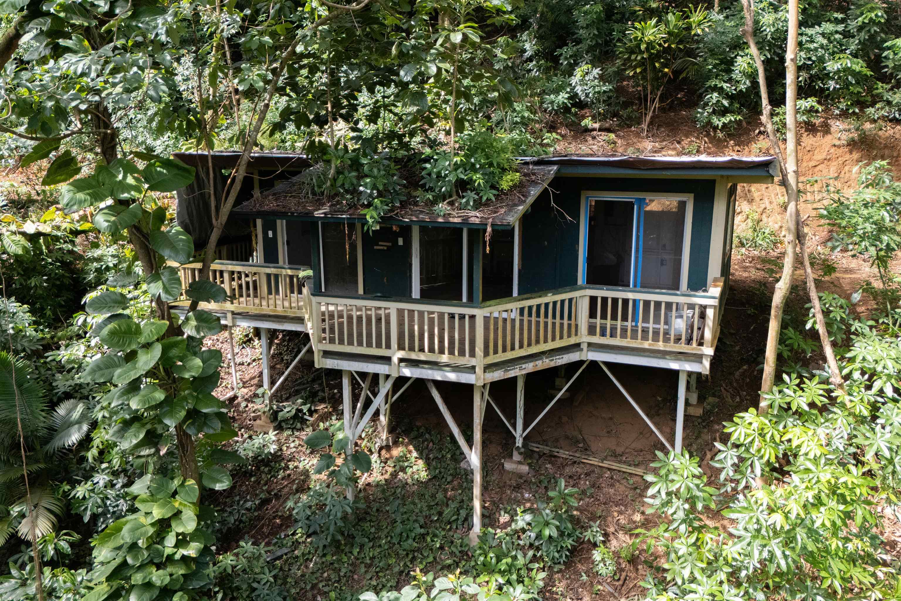 420  Haumana Rd , Haiku home - photo 45 of 50