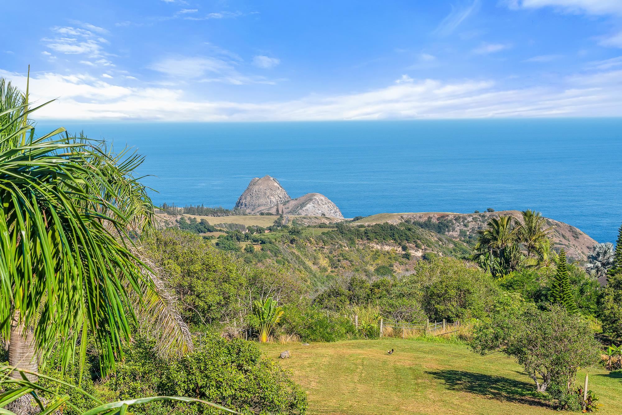 425  Kaukini Loop Cliffs At Kahakulo, Kahakuloa home - photo 34 of 37