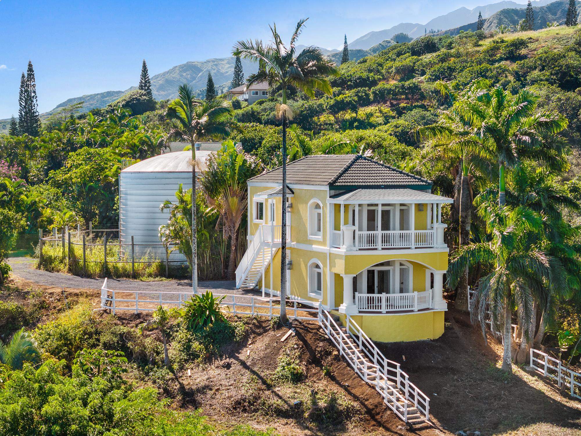 425  Kaukini Loop Cliffs At Kahakulo, Kahakuloa home - photo 6 of 37
