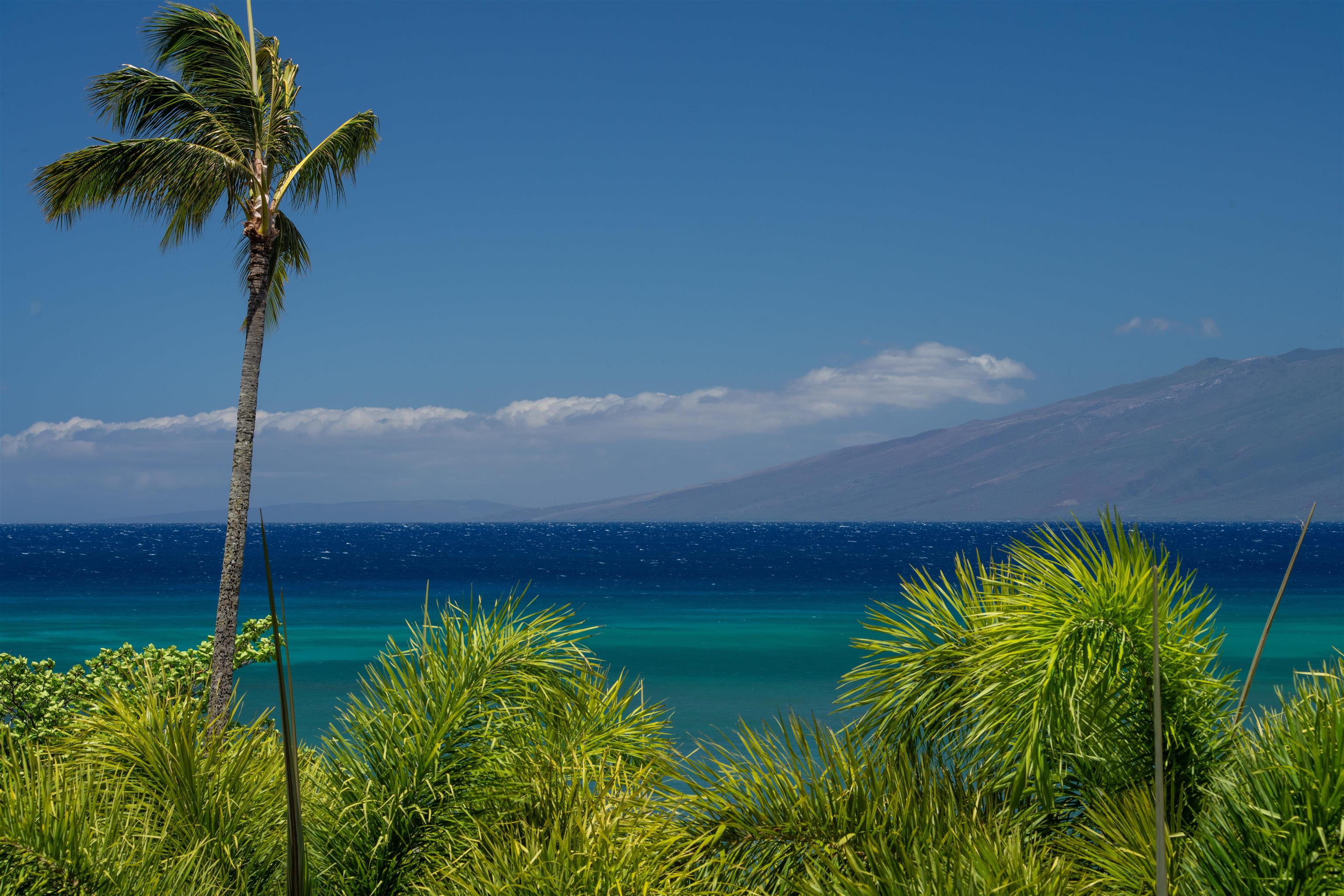 Sands of Kahana condo # 134, Lahaina, Hawaii - photo 2 of 50