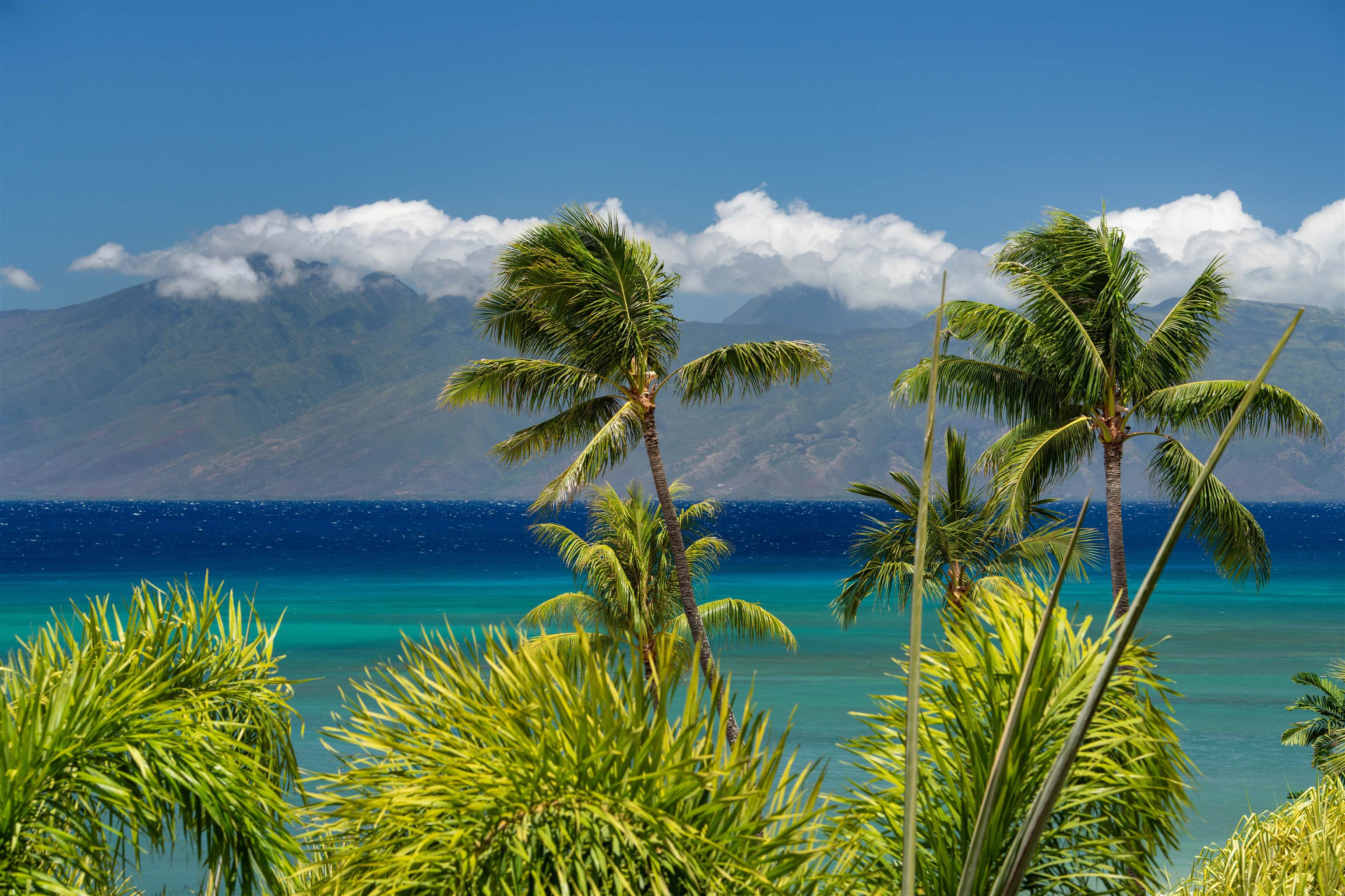 Sands of Kahana condo # 134, Lahaina, Hawaii - photo 21 of 50