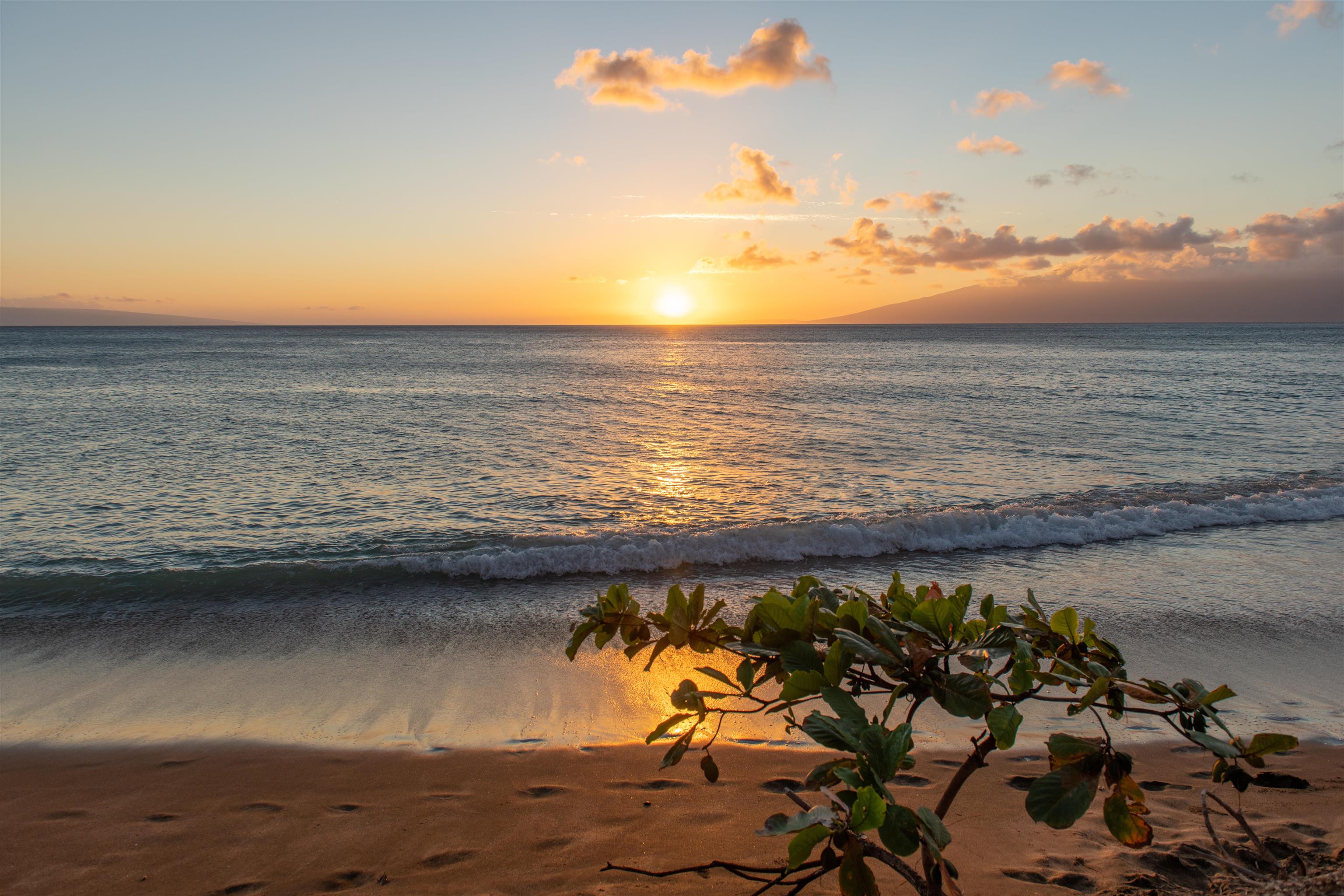 Sands of Kahana condo # 134, Lahaina, Hawaii - photo 40 of 50