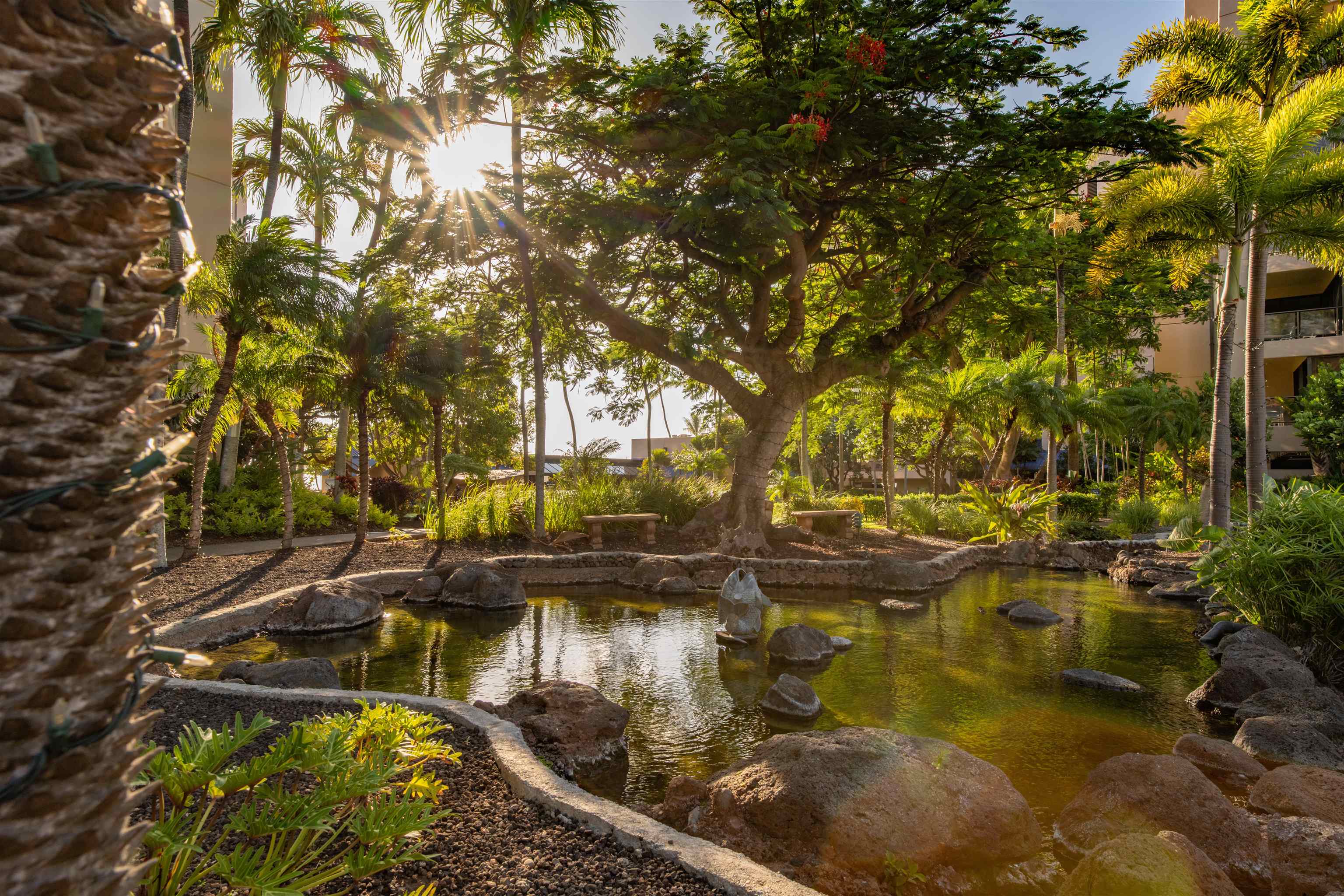 Sands of Kahana condo # 134, Lahaina, Hawaii - photo 42 of 50