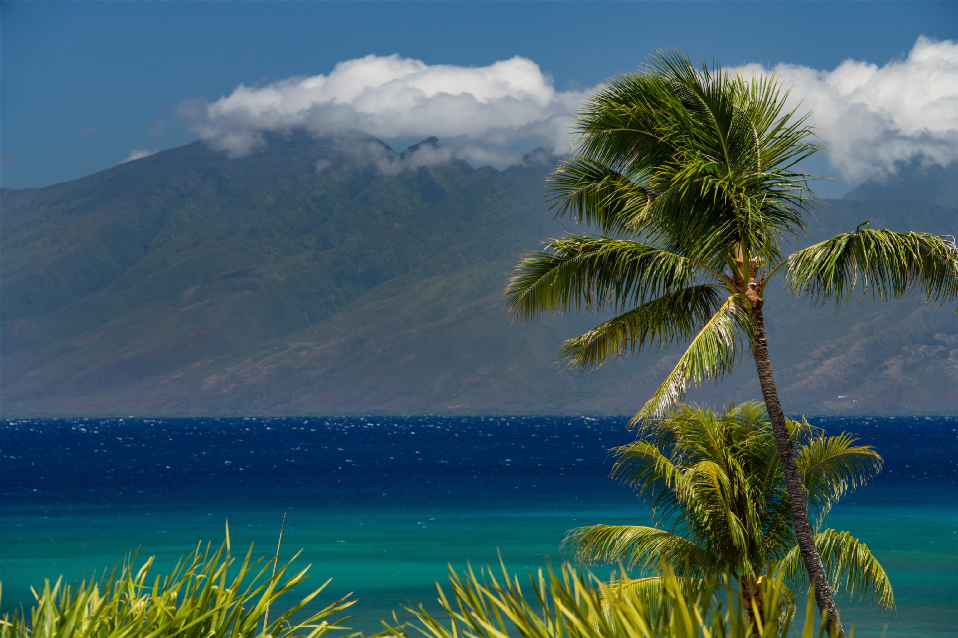 Sands of Kahana condo # 134, Lahaina, Hawaii - photo 9 of 50