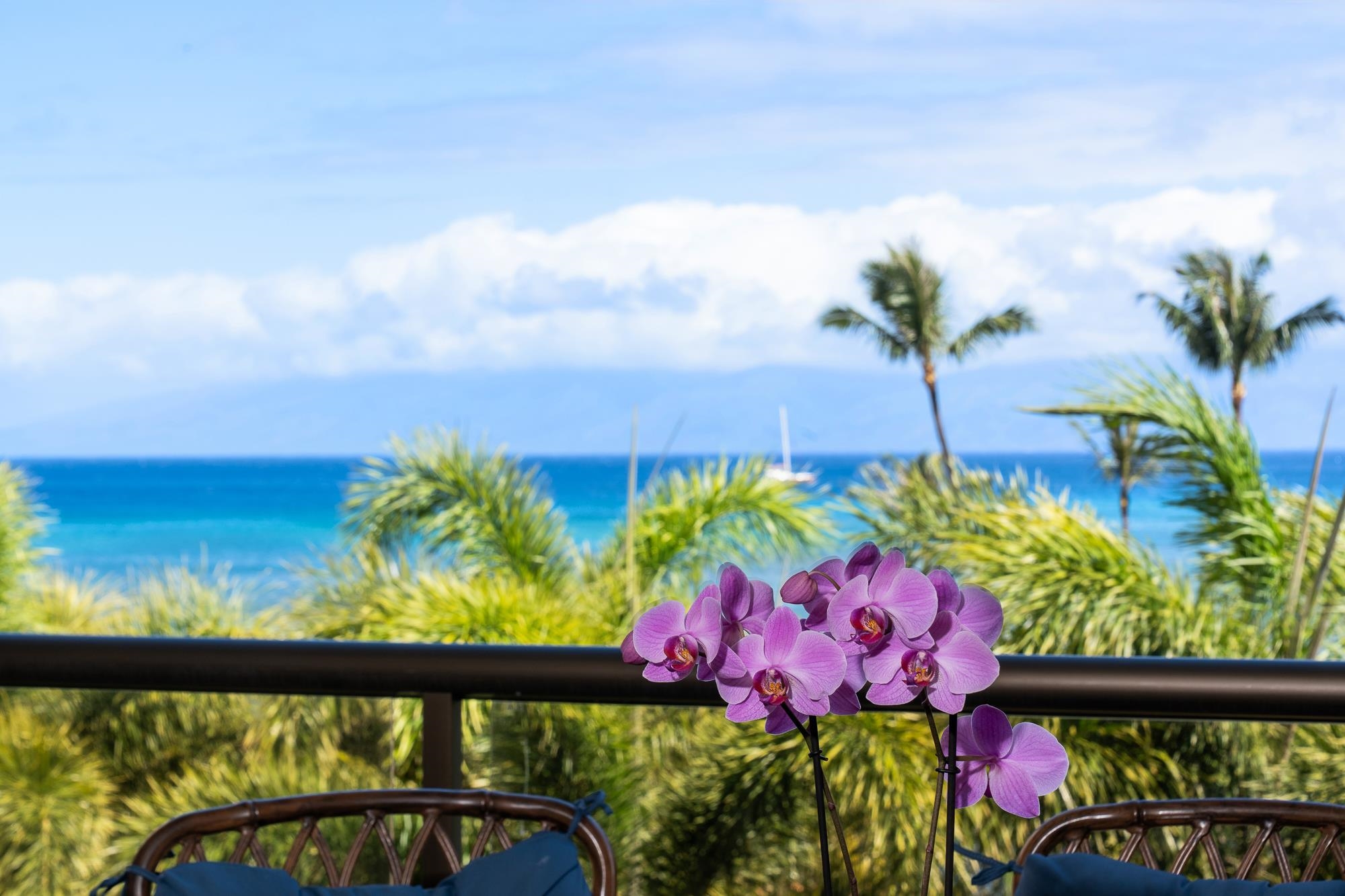 Sands of Kahana condo # 134, Lahaina, Hawaii - photo 3 of 50