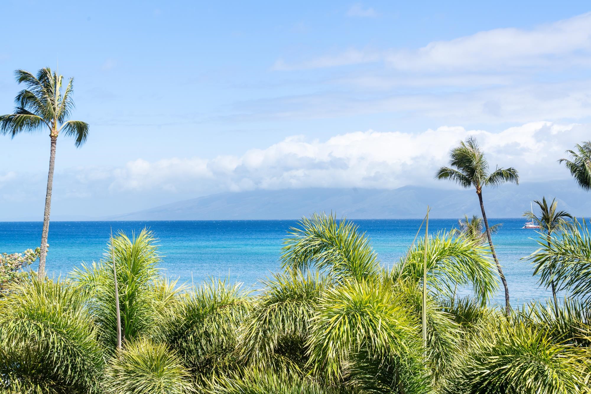 Sands of Kahana condo # 134, Lahaina, Hawaii - photo 34 of 50