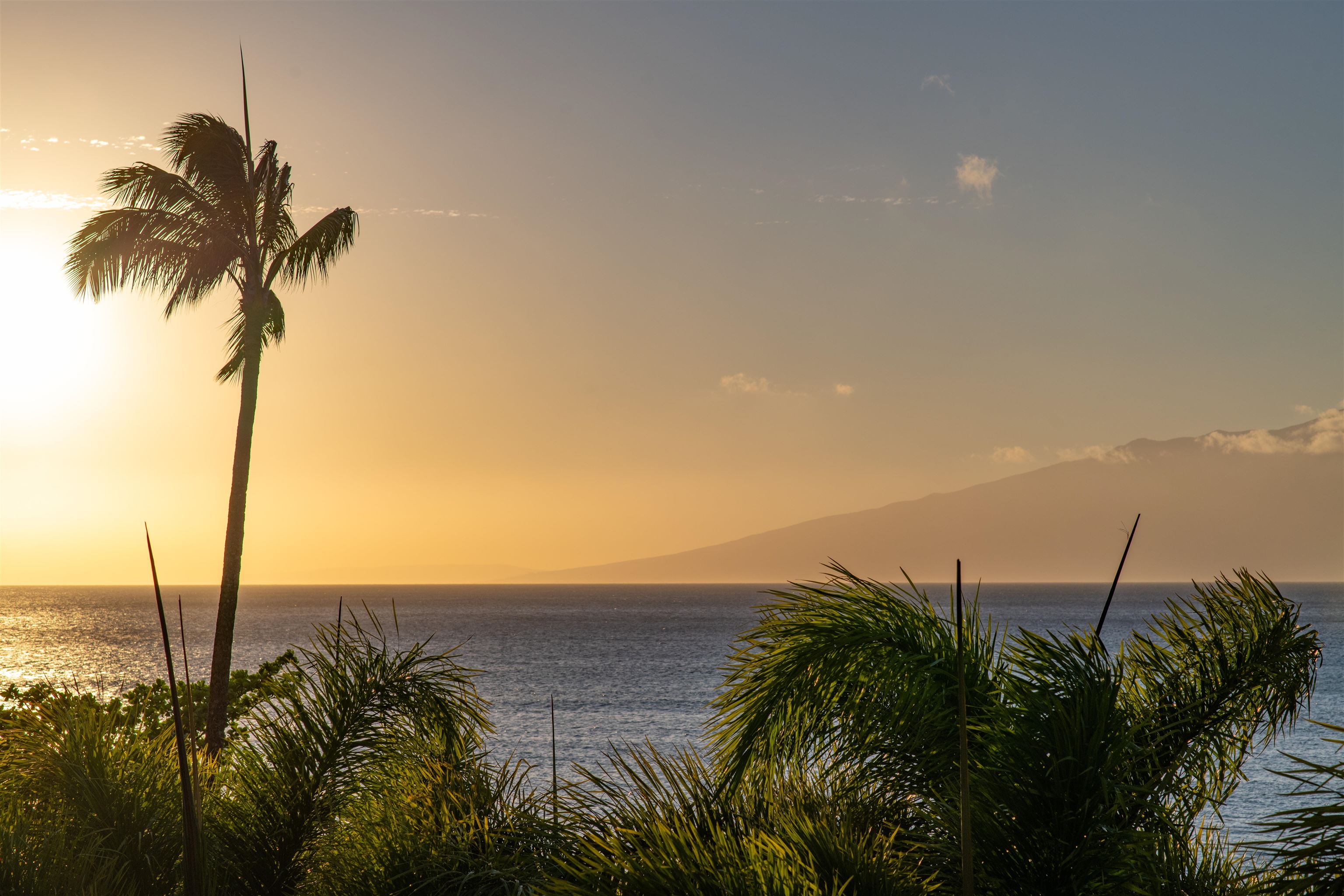 Sands of Kahana condo # 134, Lahaina, Hawaii - photo 40 of 50
