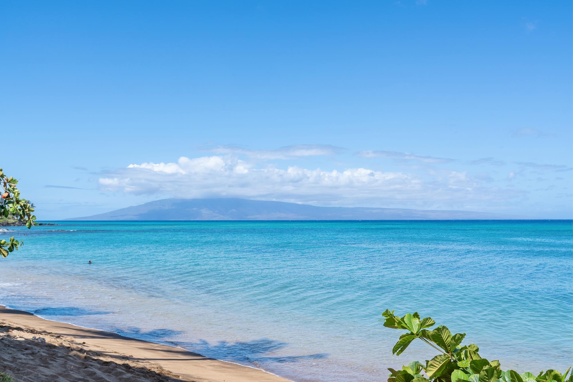 Sands of Kahana condo # 134, Lahaina, Hawaii - photo 49 of 50