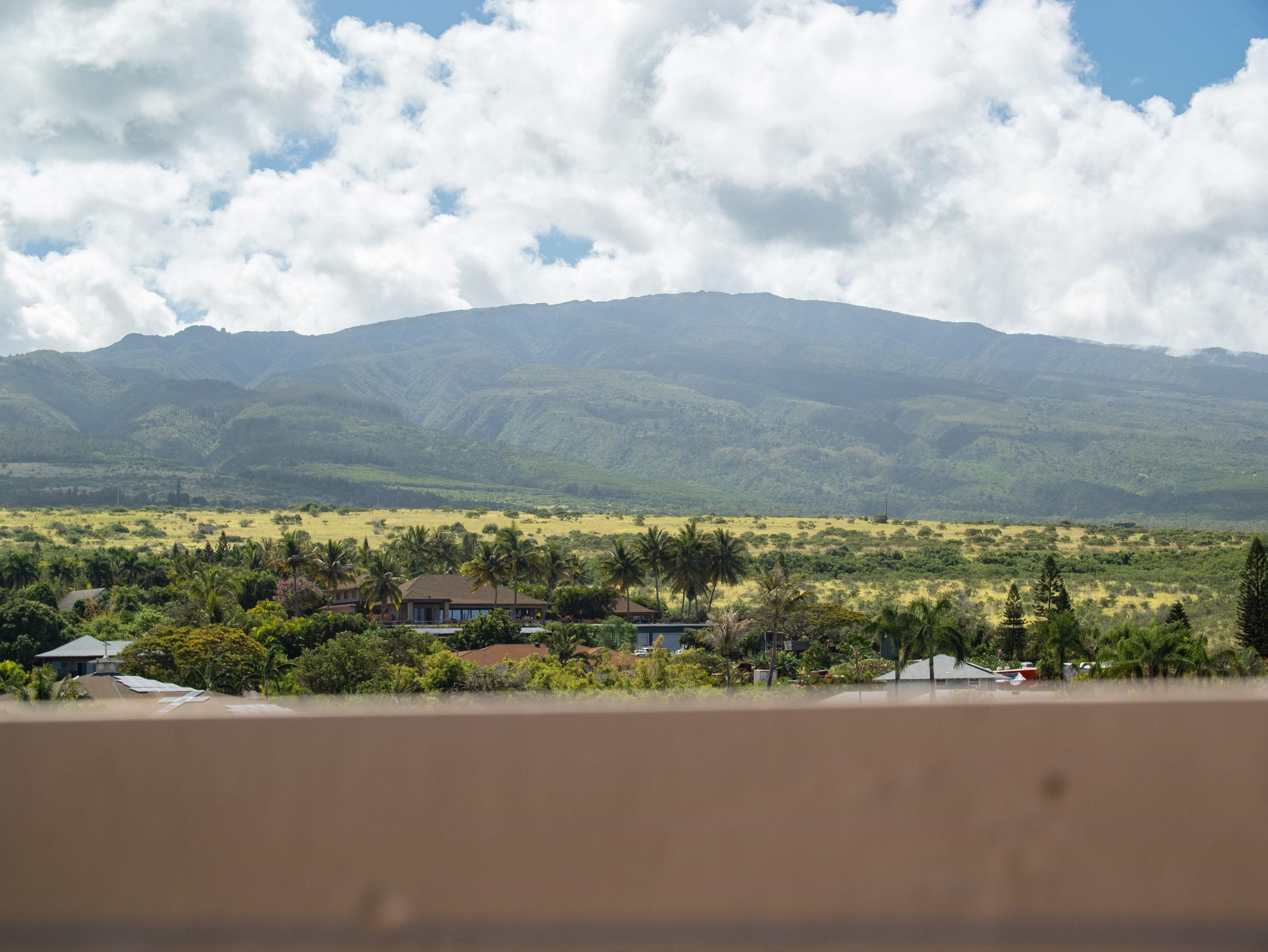 Sands of Kahana condo # 171, Lahaina, Hawaii - photo 45 of 49